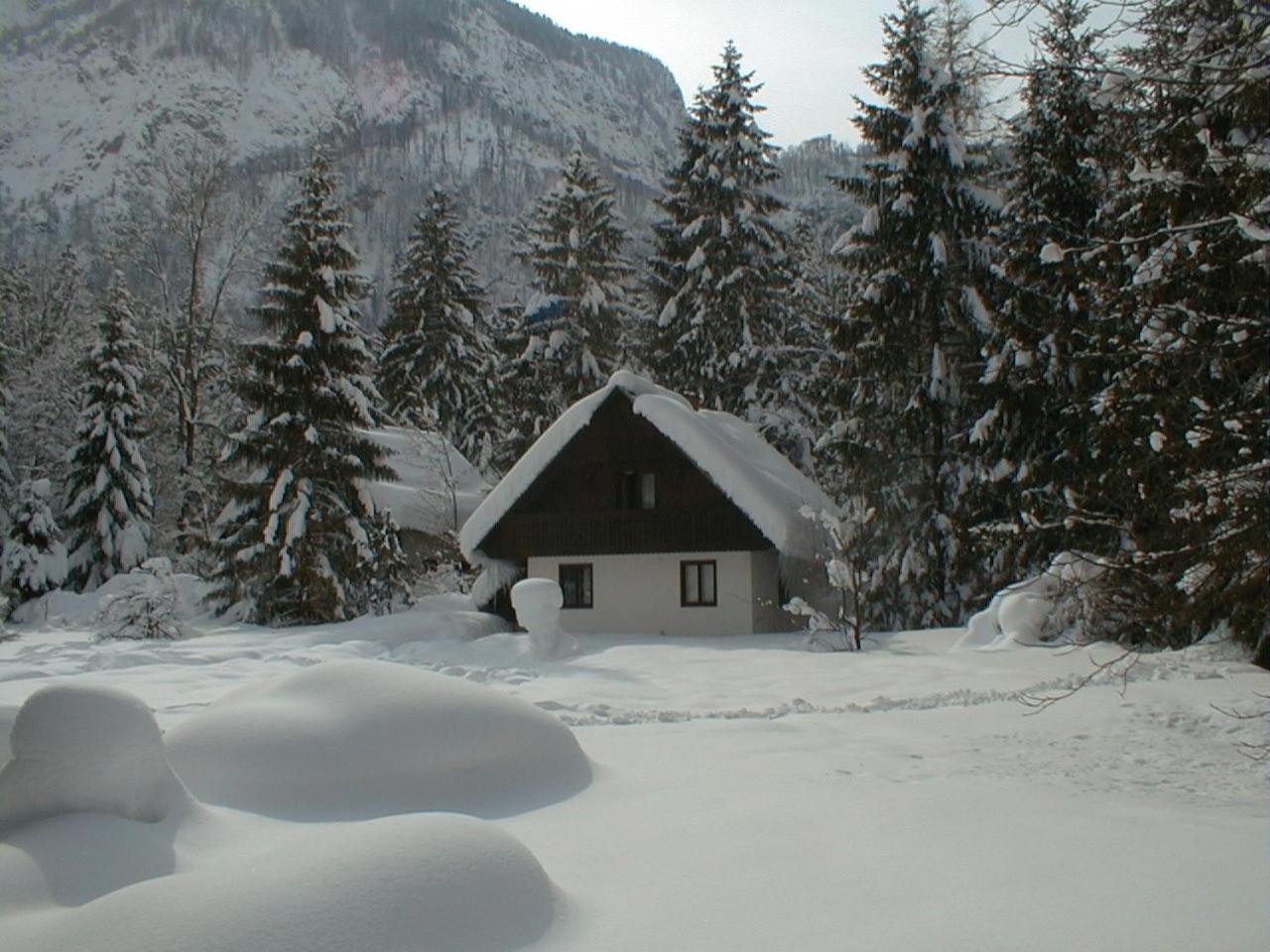 Photo 31