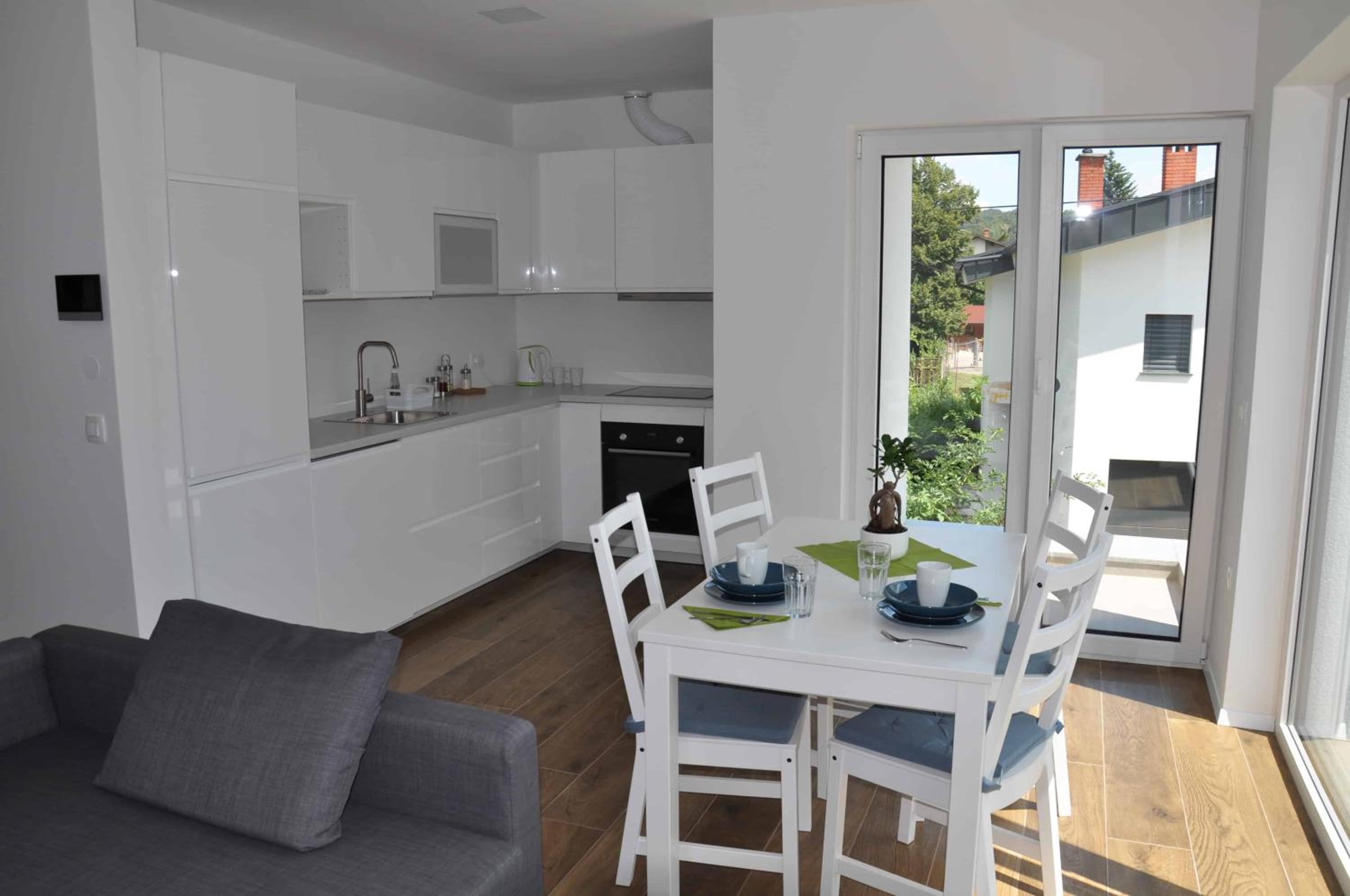 Apartments Trnovo view 3