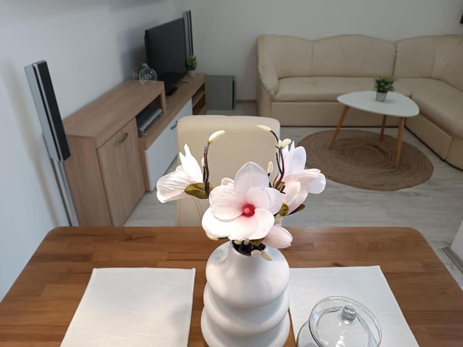 Palmera Apartment