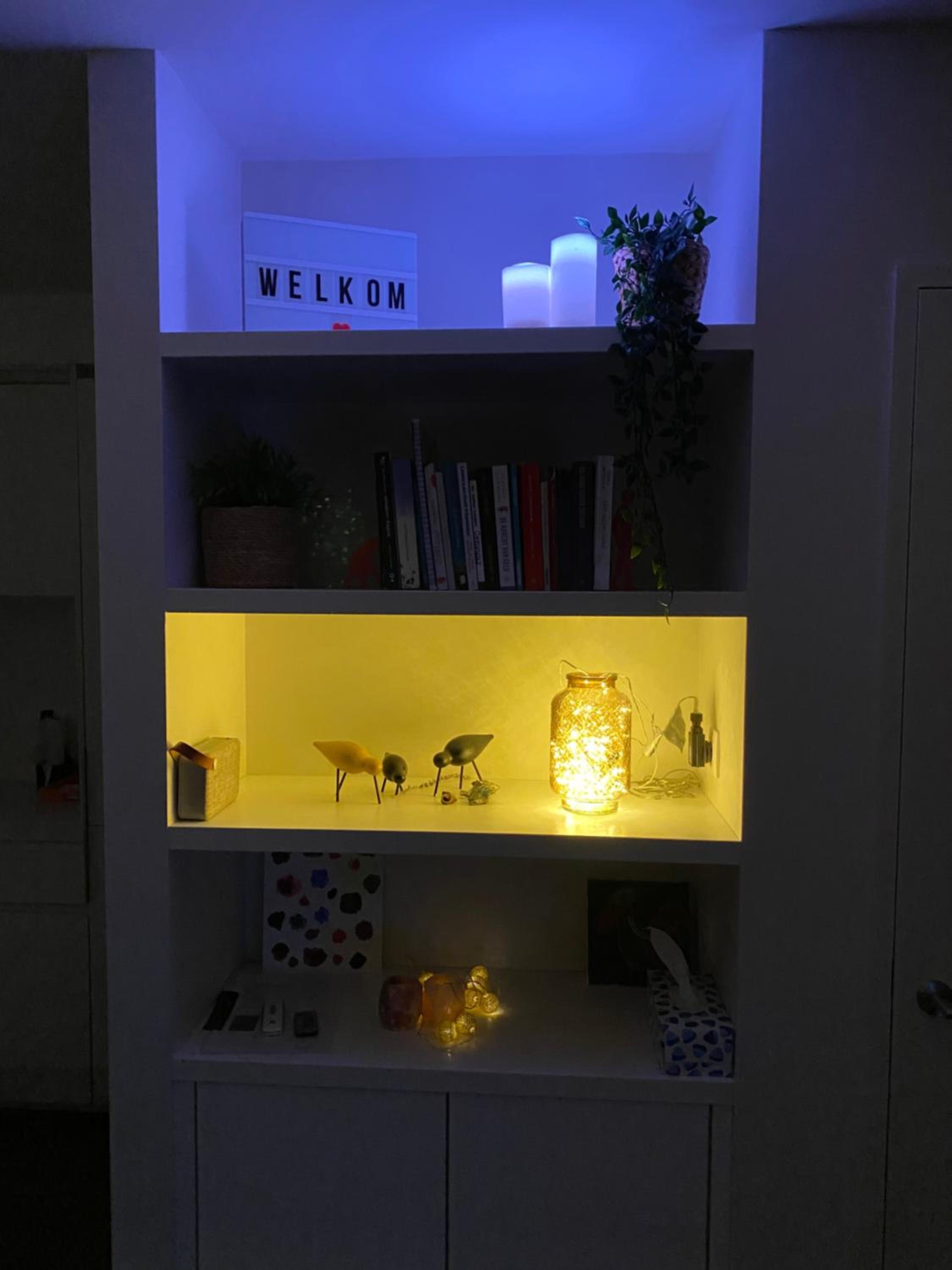 Photo 7