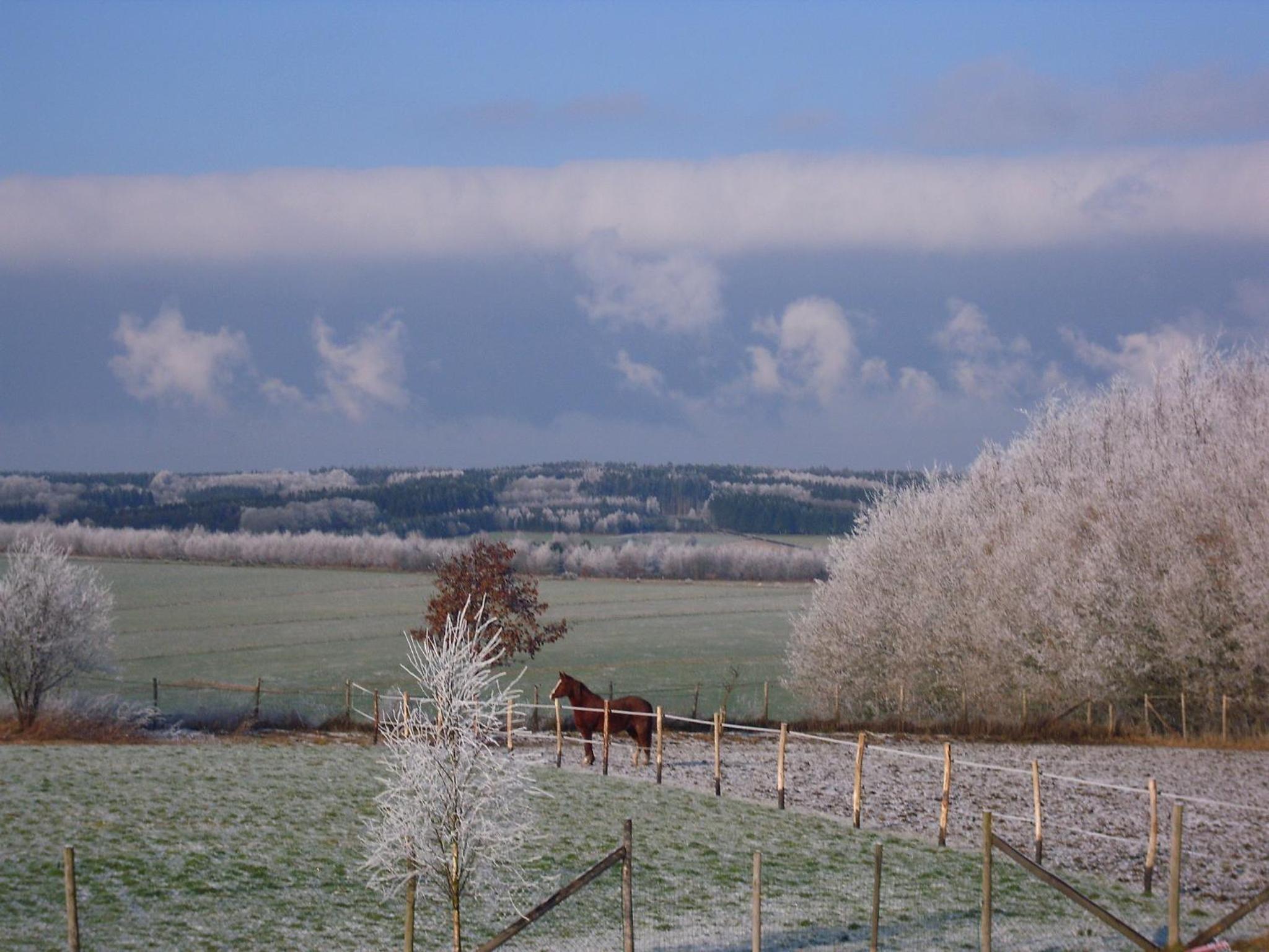 B&B La Chabetaine