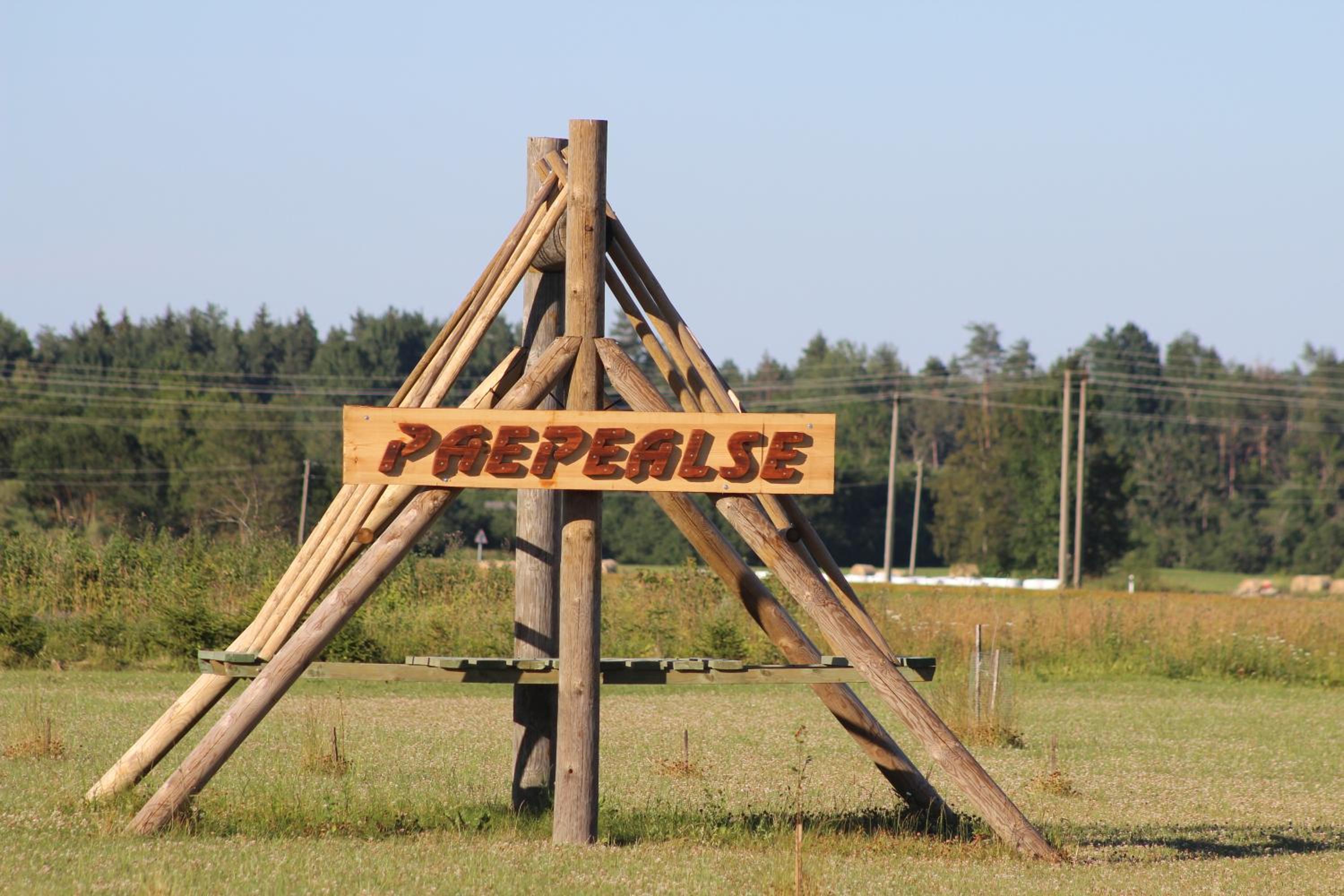 Photo 46