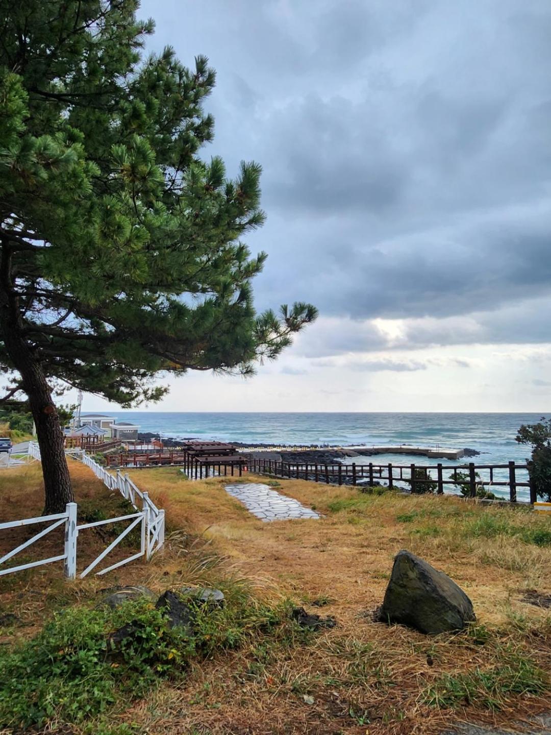 OROJEJU