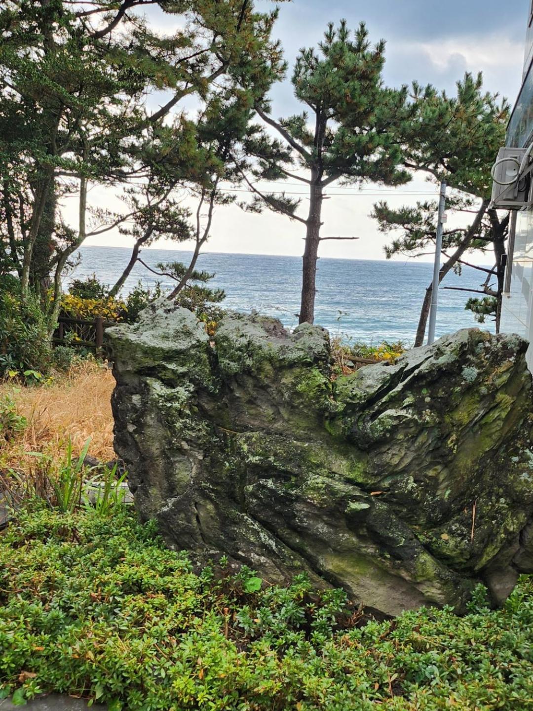 OROJEJU