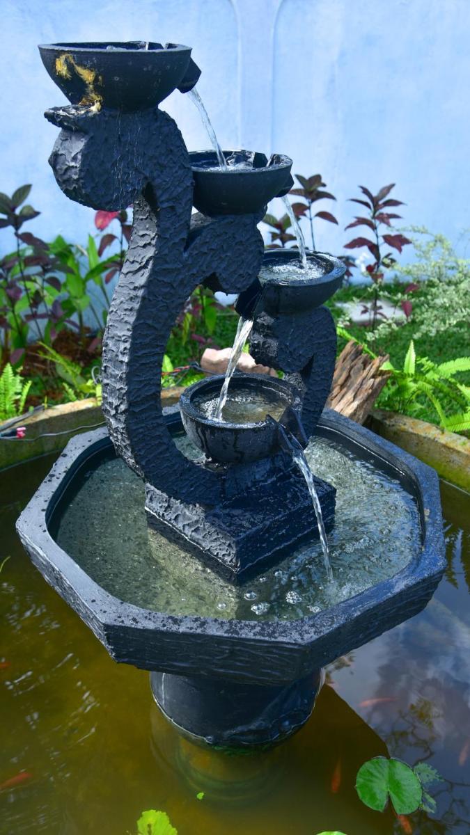 garden