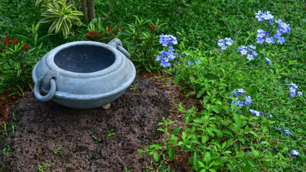 garden