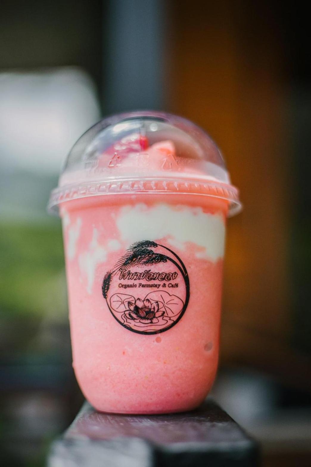 ไร่นาบัวหลวง คาเฟ่ & ฟาร์มสเตย์ RaiNa BuaLuang Cafe & Farm Stay view 2