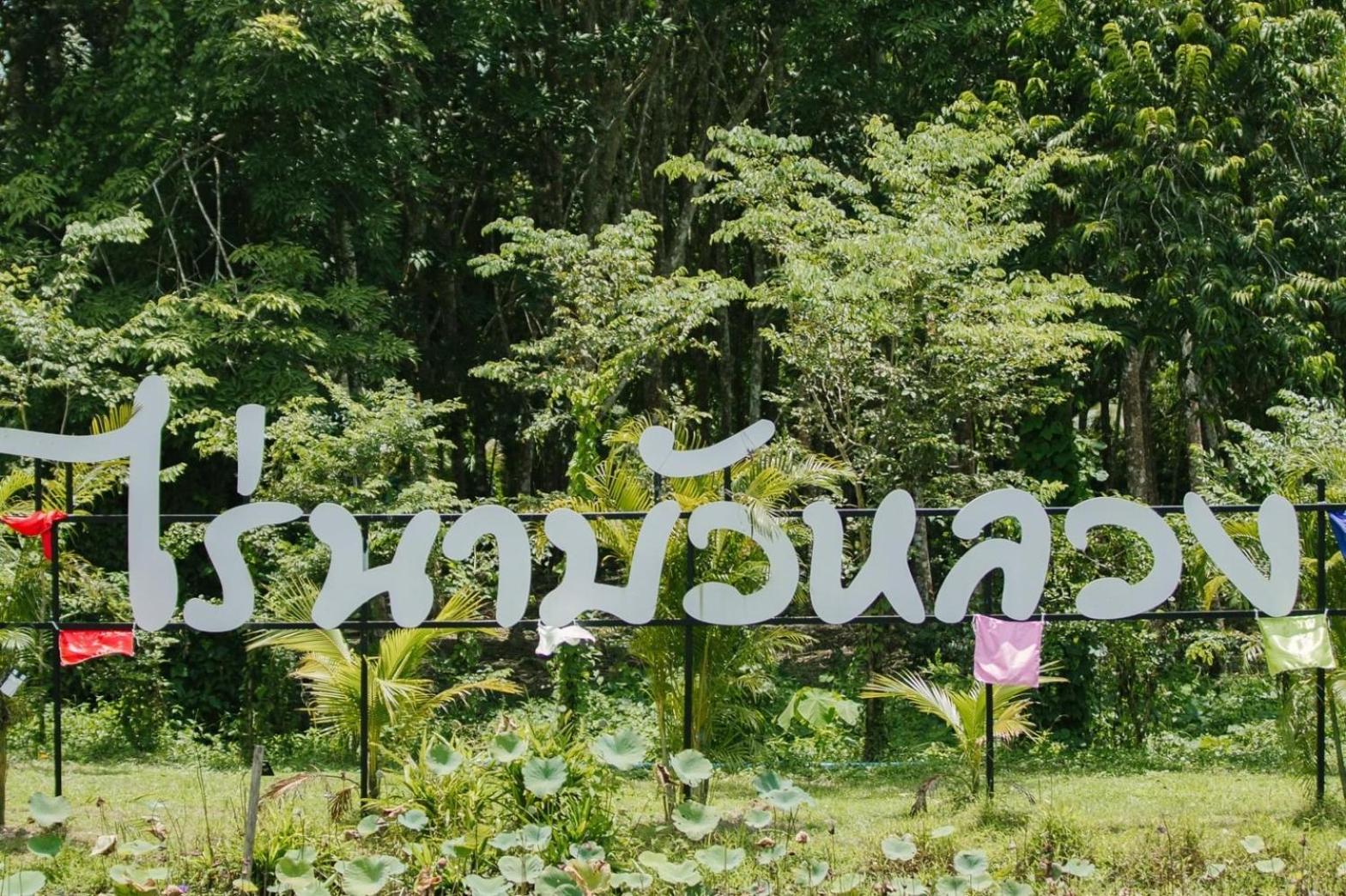 ไร่นาบัวหลวง คาเฟ่ & ฟาร์มสเตย์ RaiNa BuaLuang Cafe & Farm Stay view 5