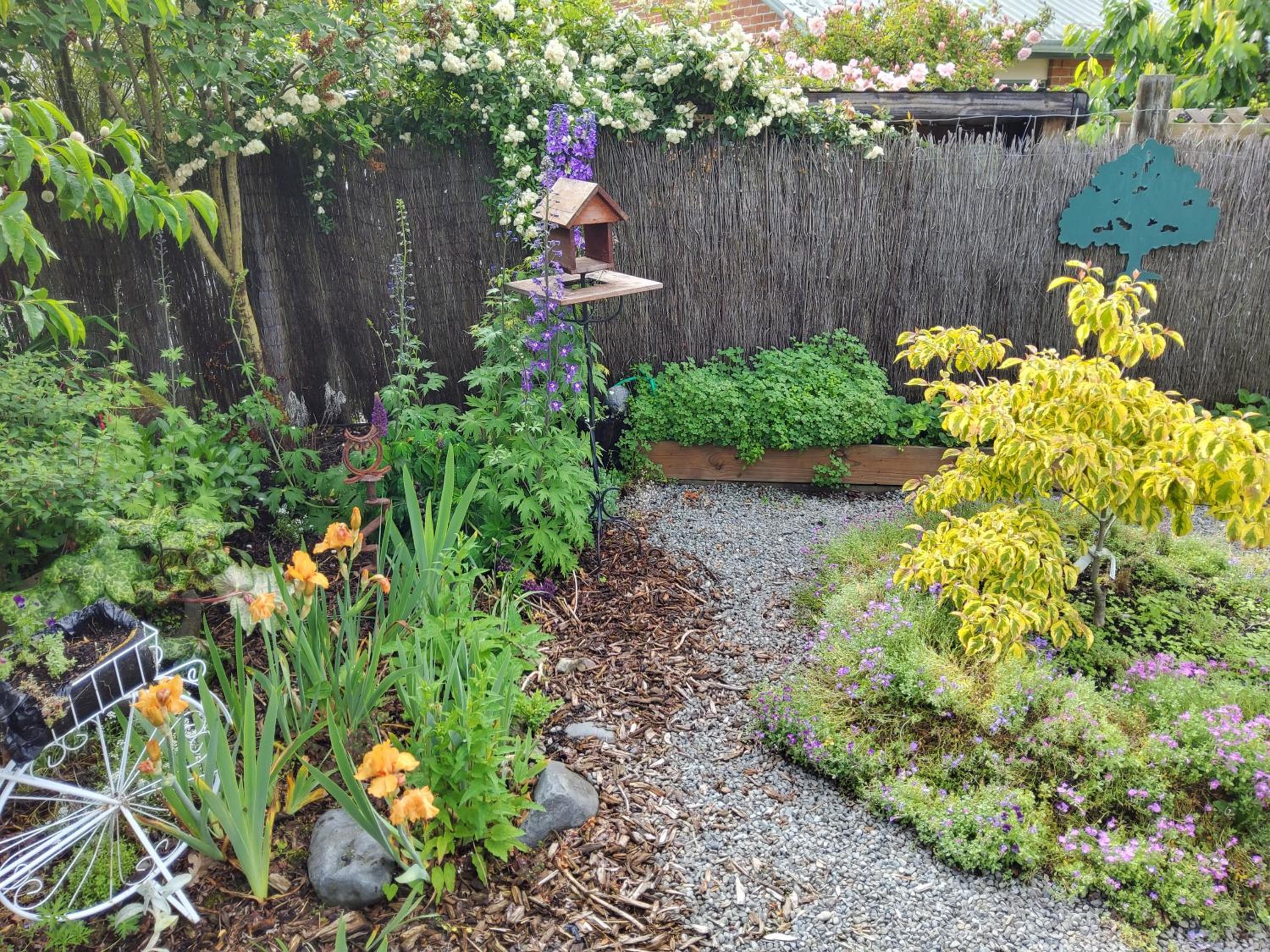 Photo 28