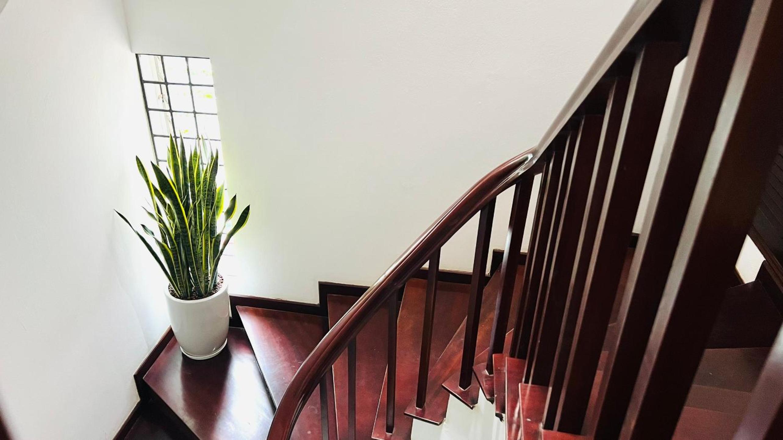 The Hive Homestay