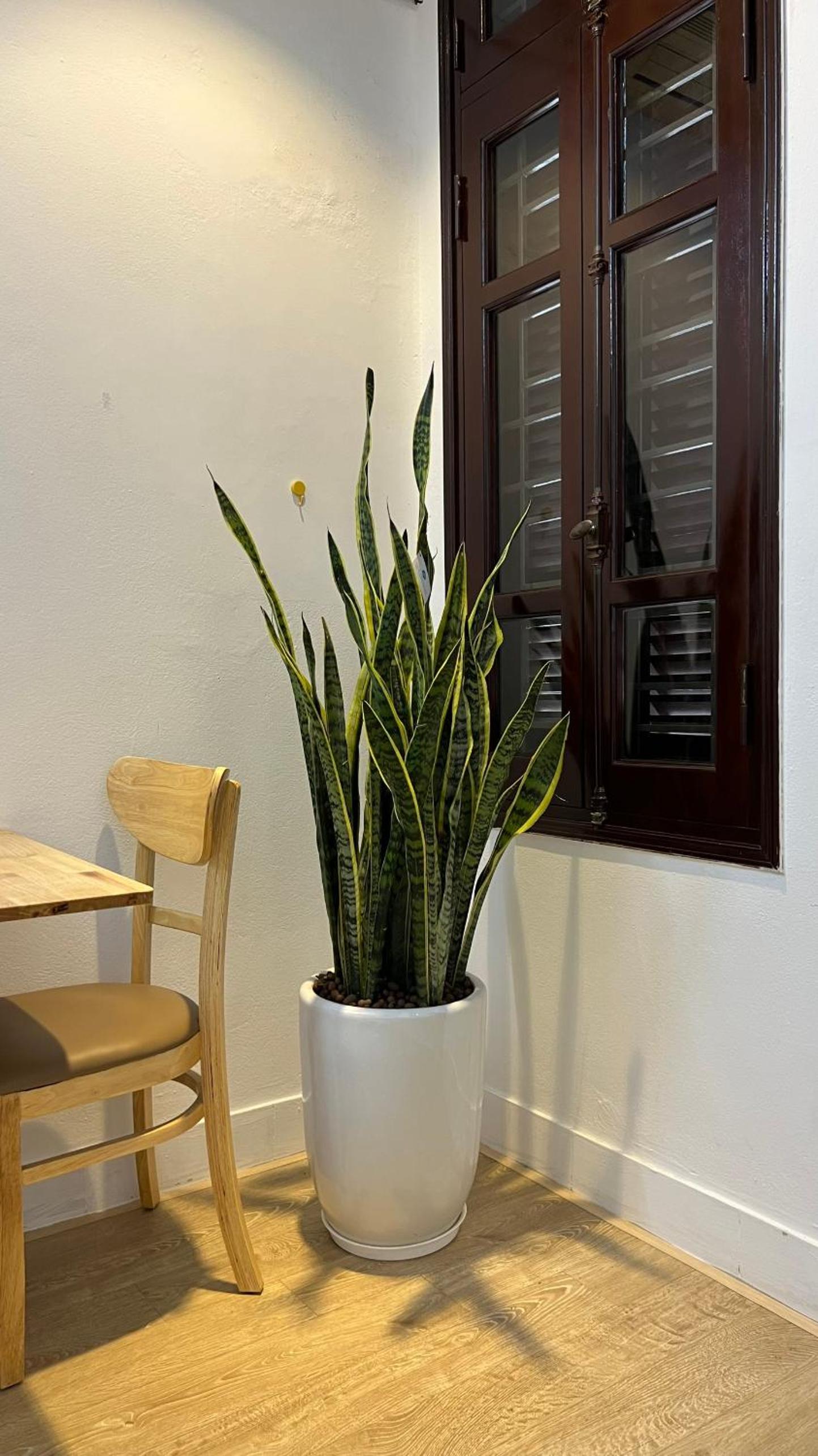 The Hive Homestay
