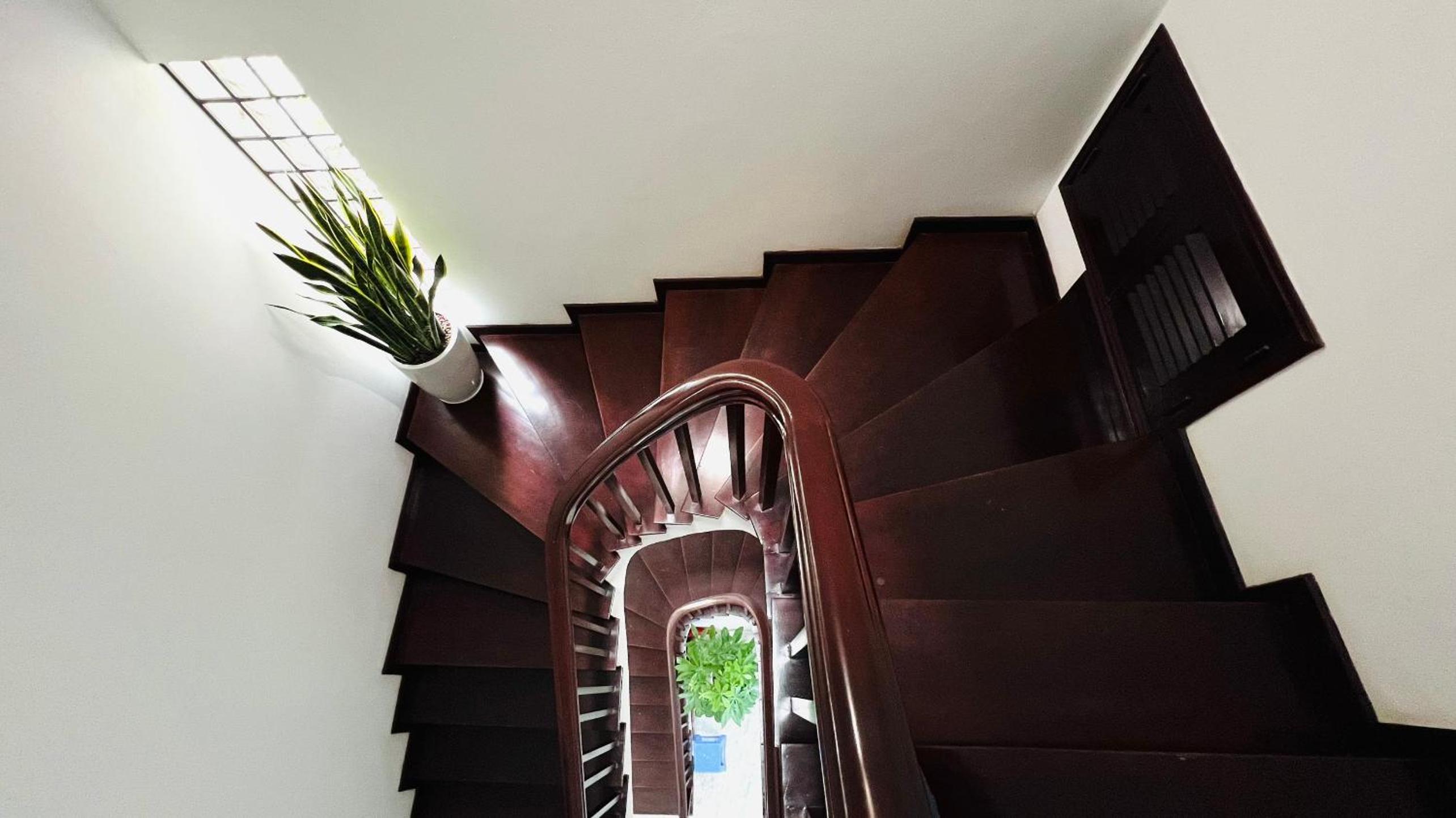 The Hive Homestay