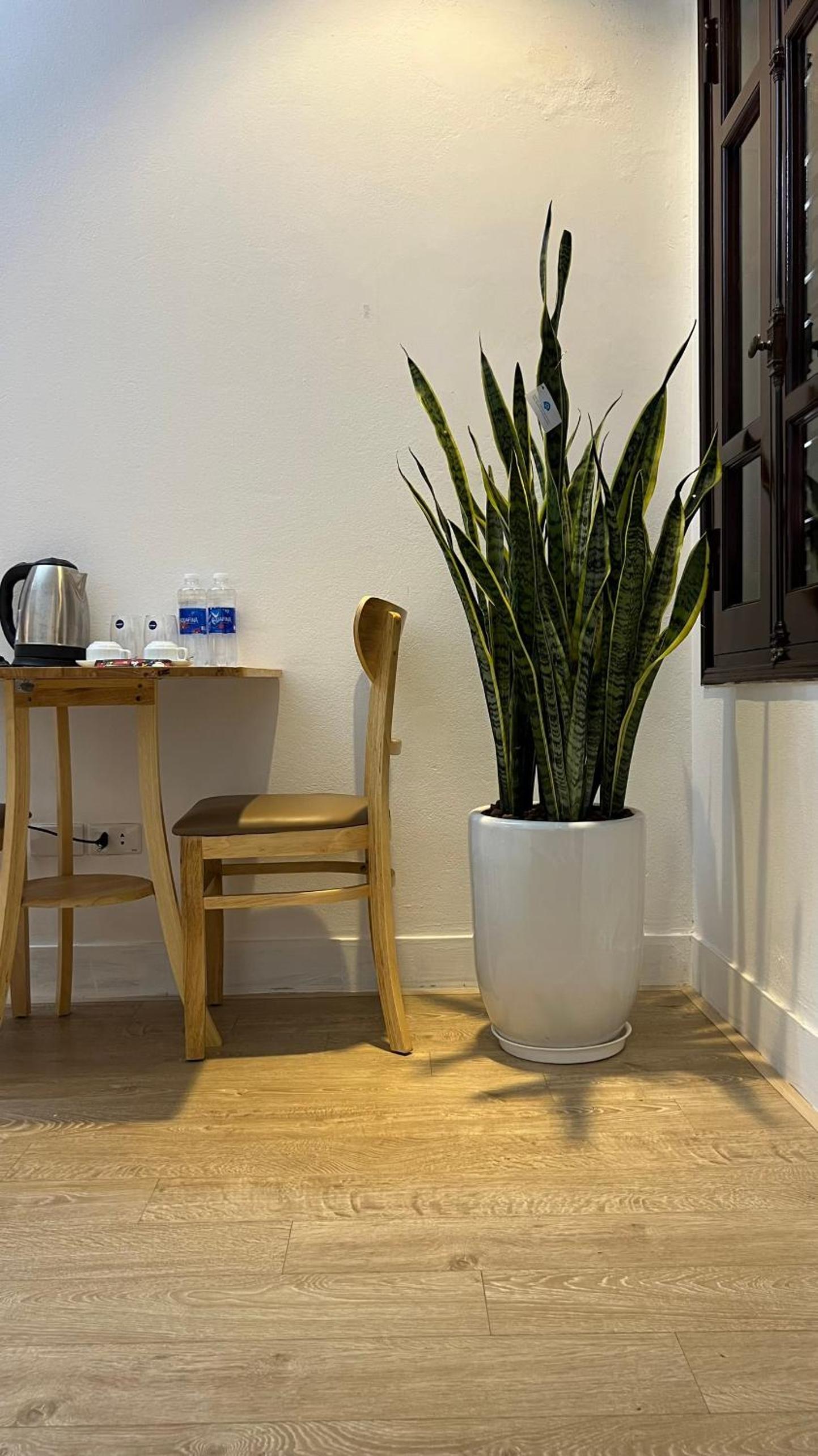The Hive Homestay