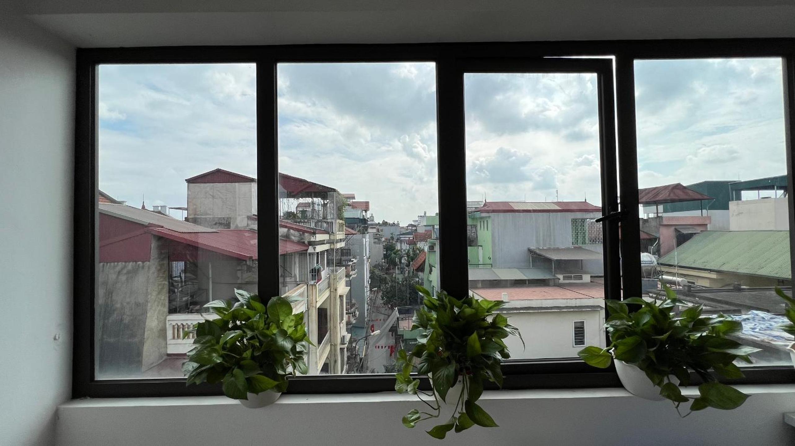The Hive Homestay