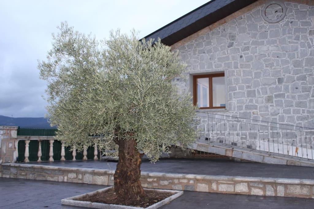 Photo 19