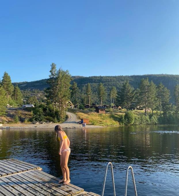 Laftet hytte i strandkanten med bade og fiske muligheter view 4