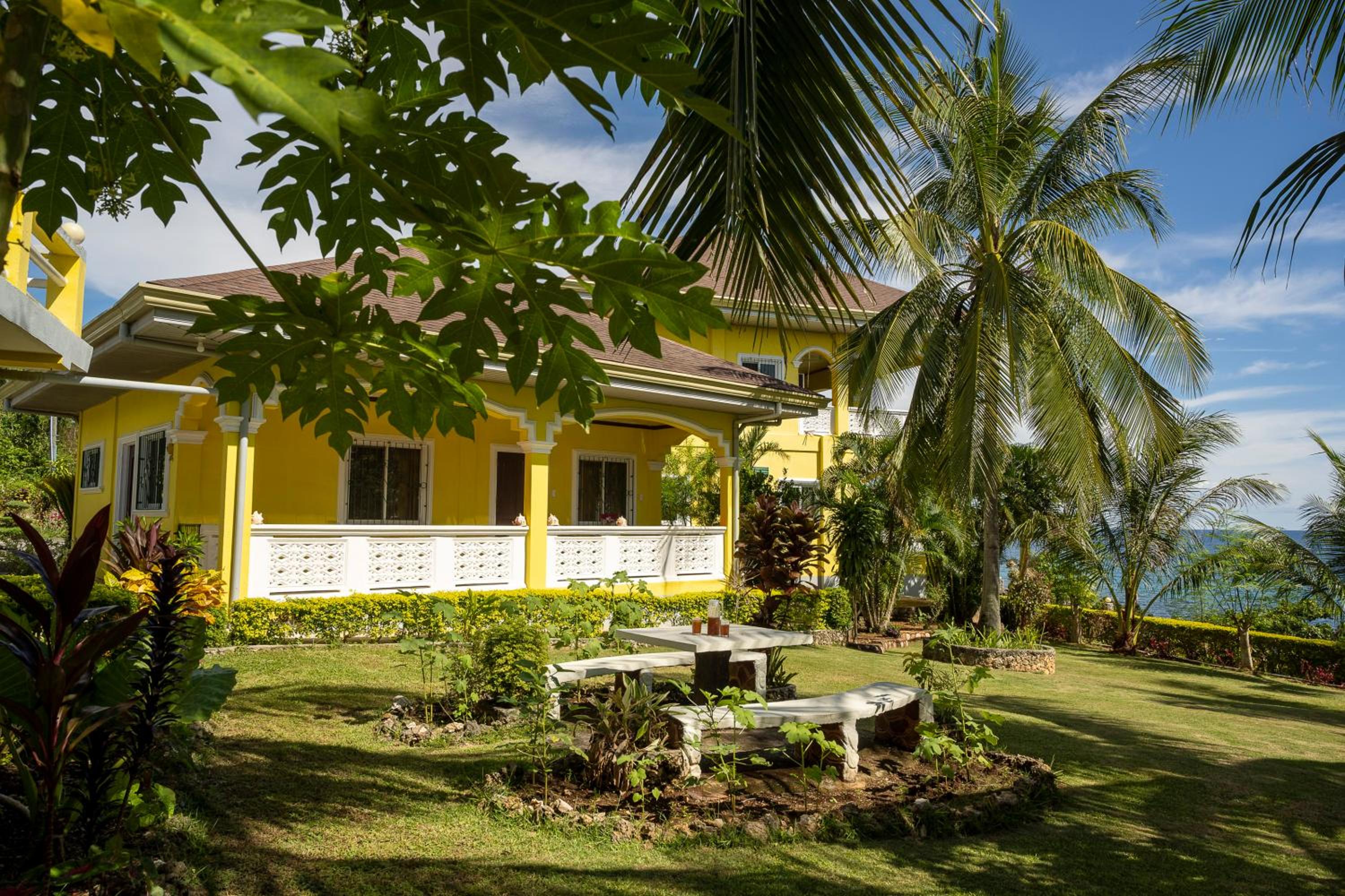 Photo 8