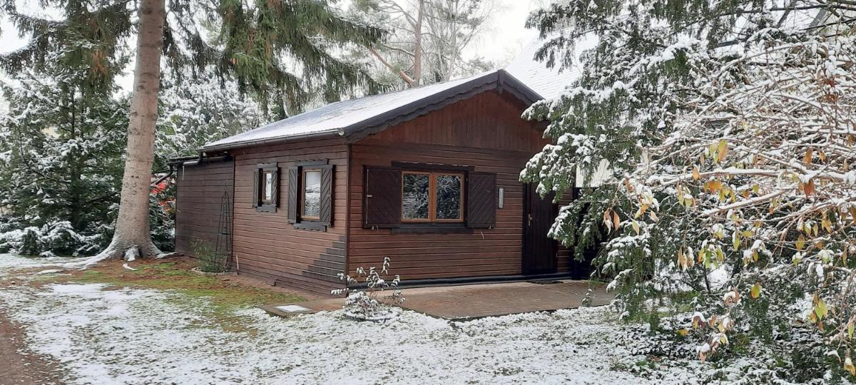 Kleiner Bungalow Am Wald view 4