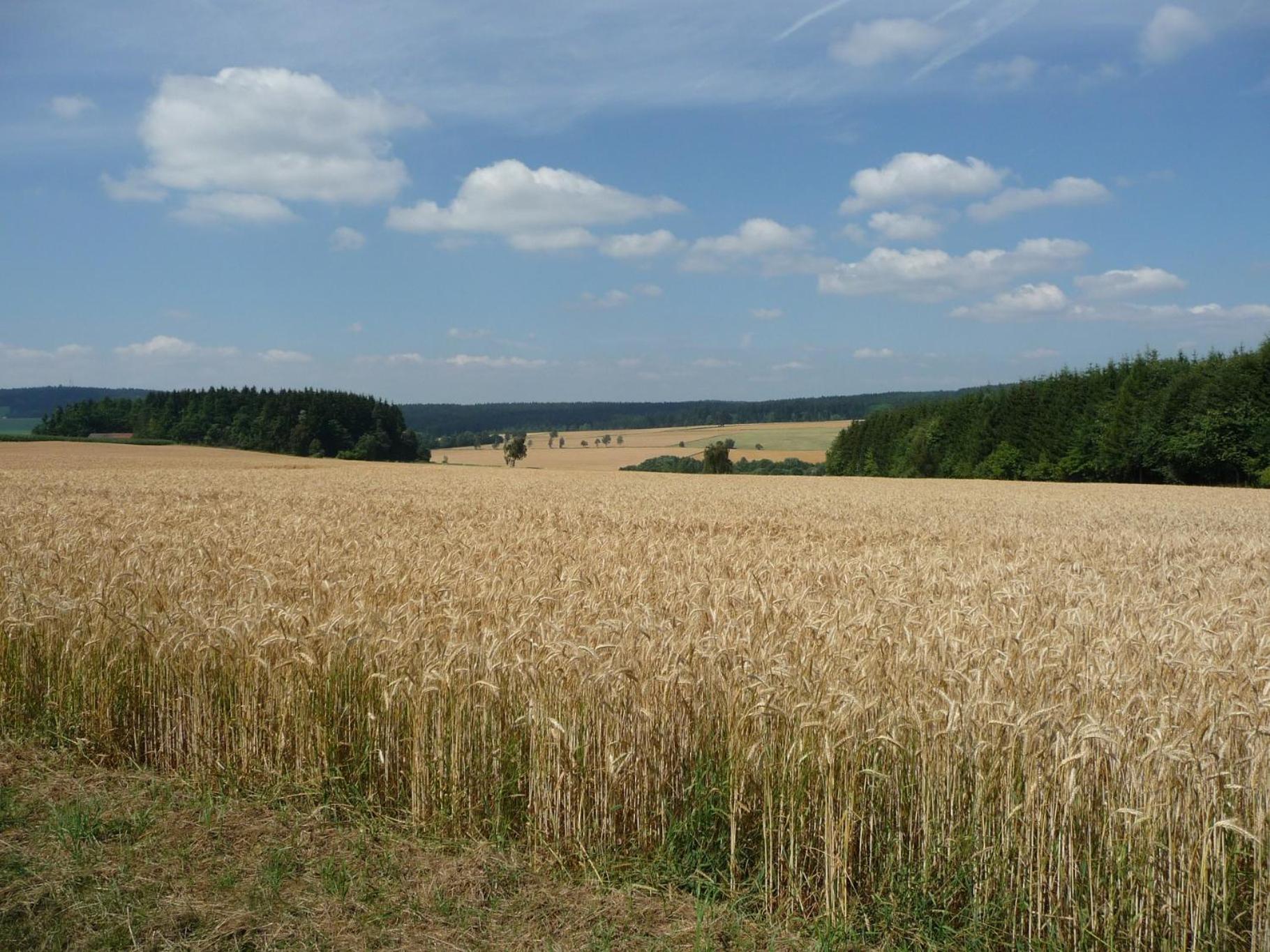 Ferienwohnungen Haus Resi