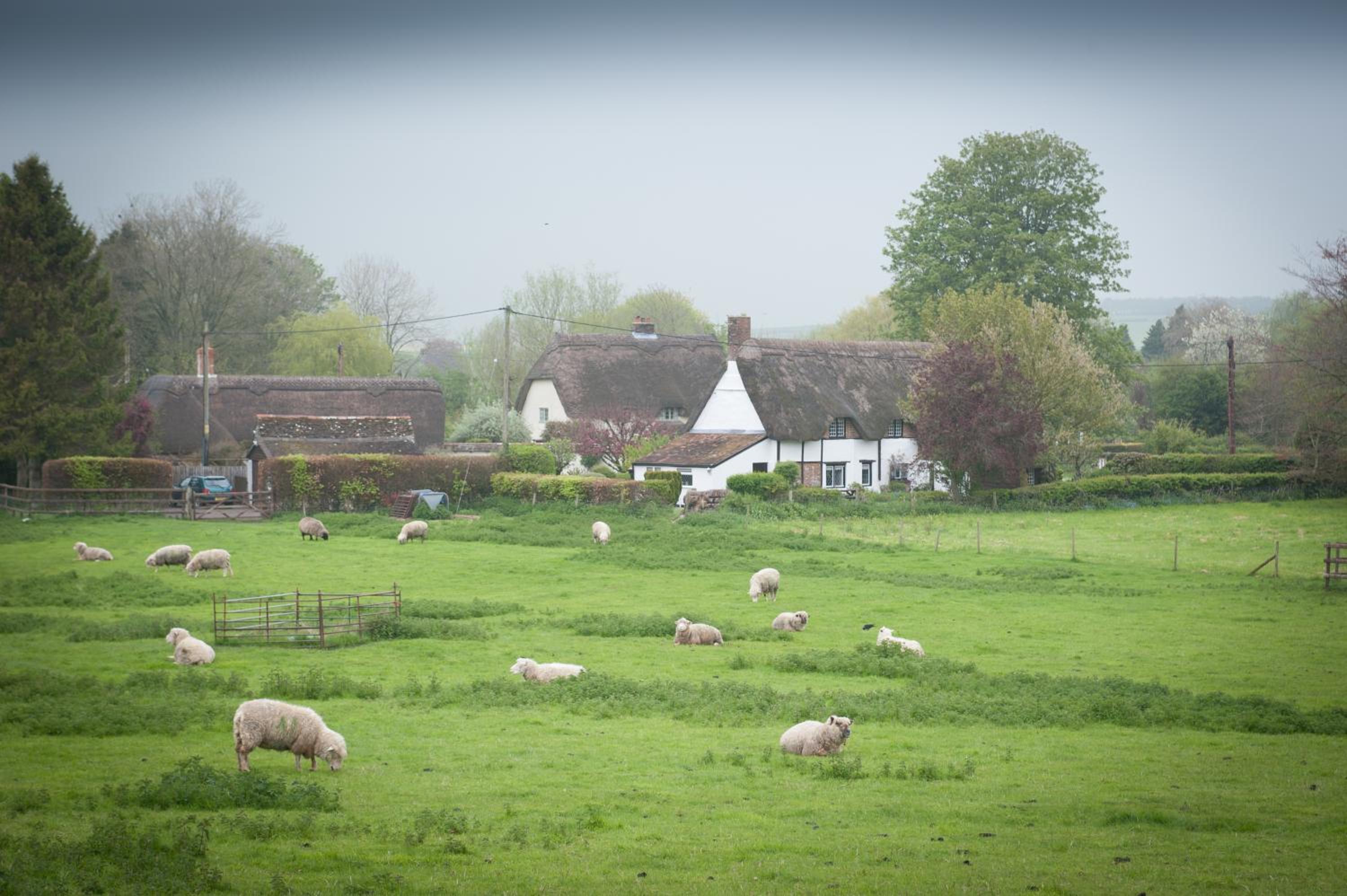 The Langton Arms