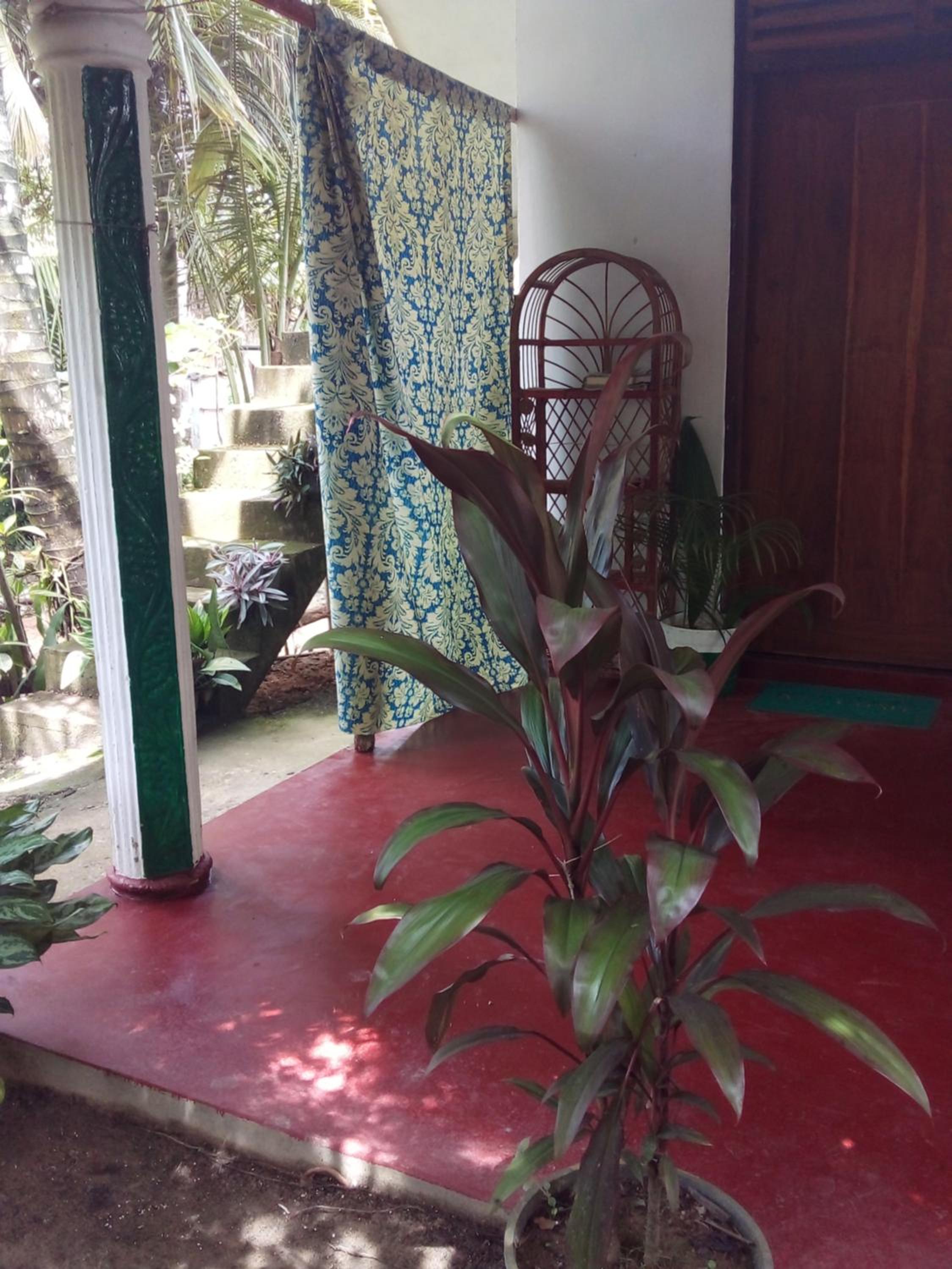 Photo 41
