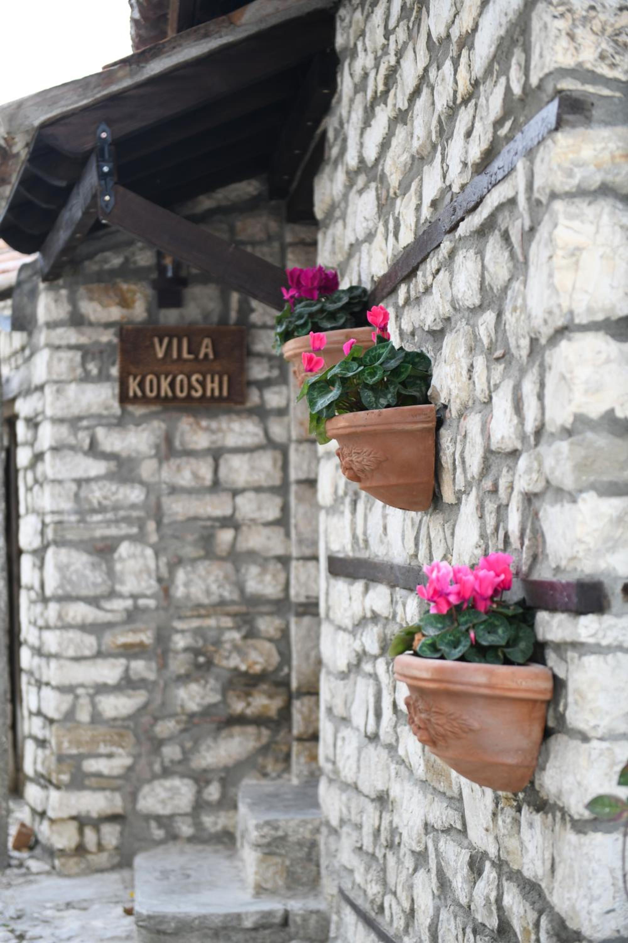 Villa Kokoshi, an extraordinary experience.