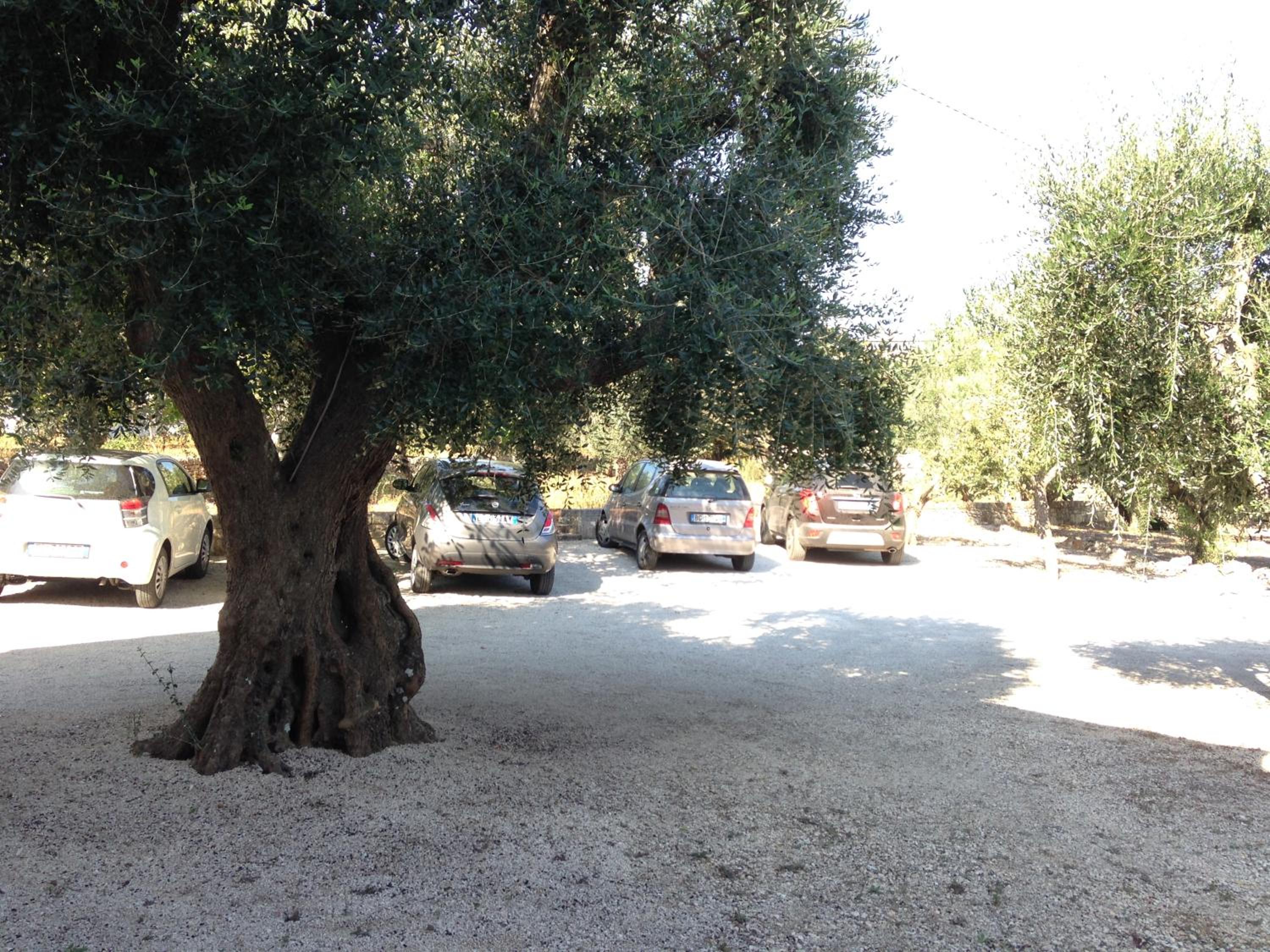 Photo 41