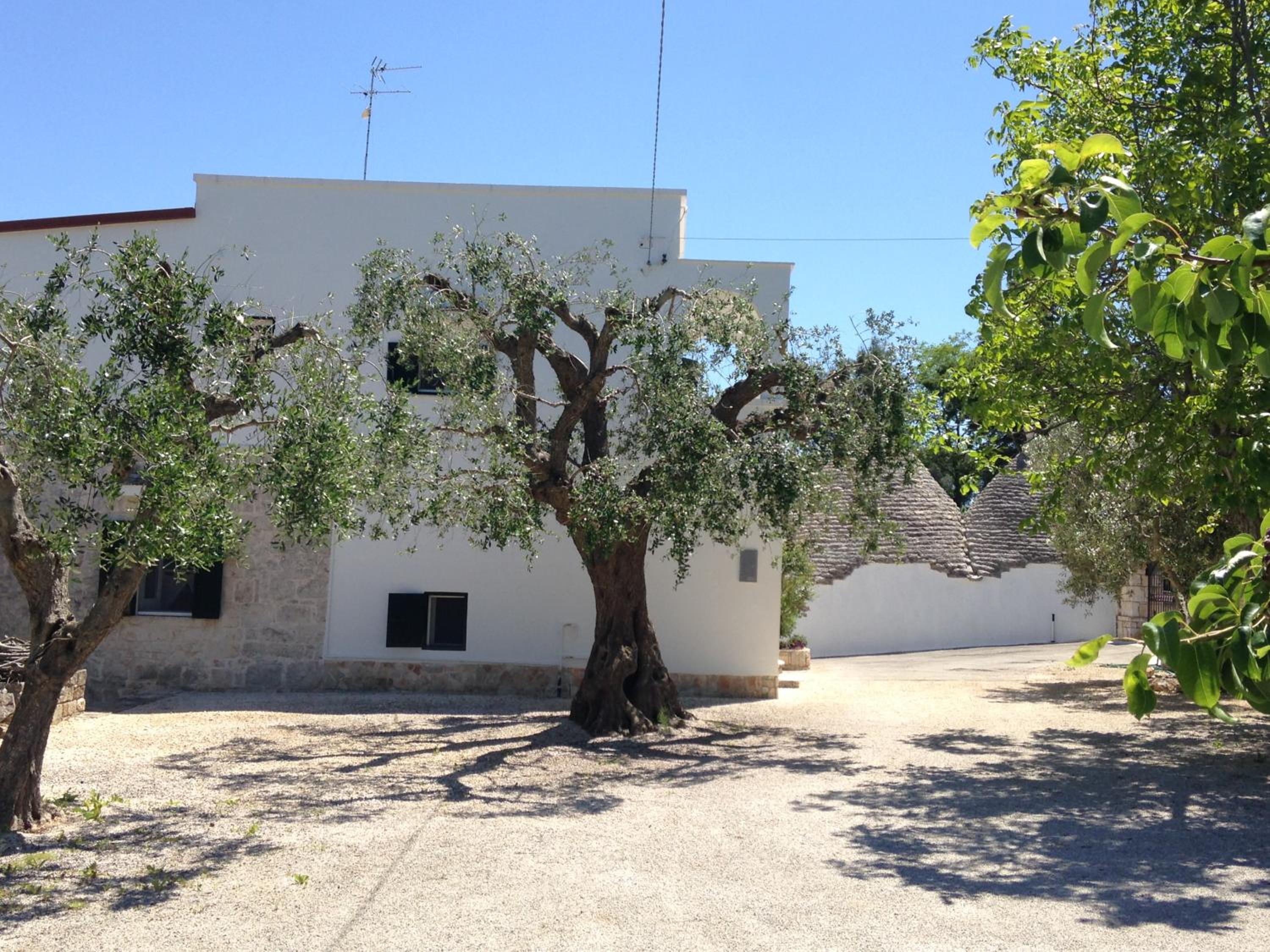 Photo 42