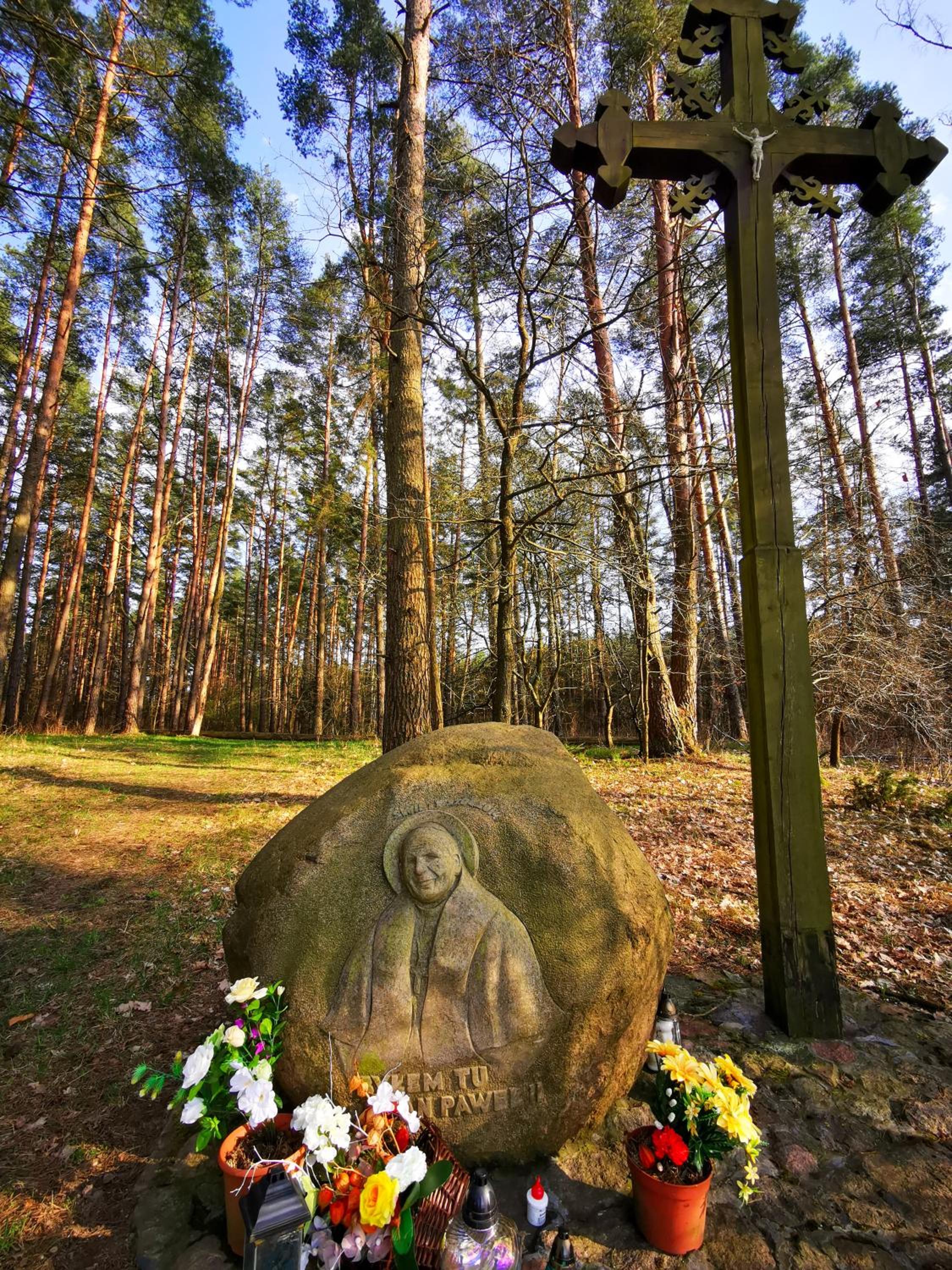 Photo 45