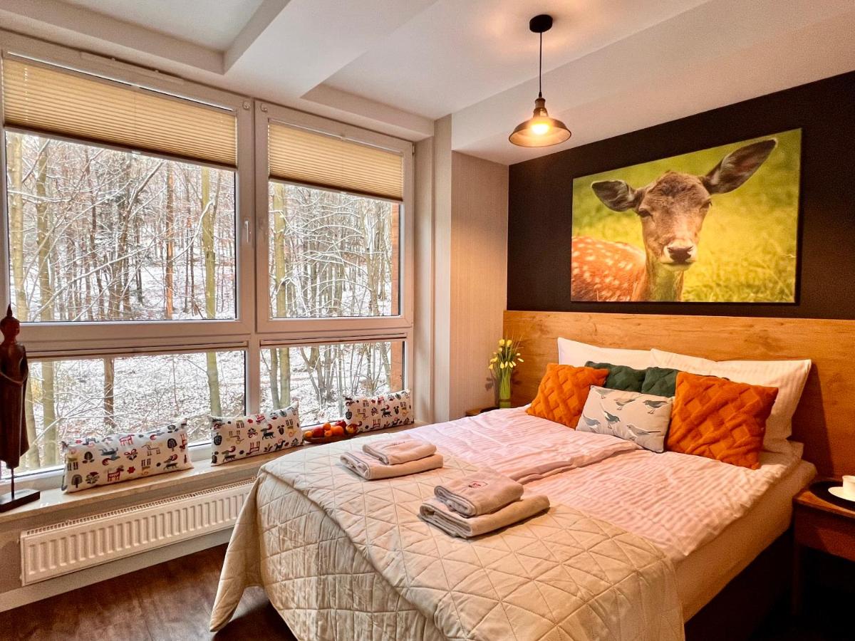 Apartament SPA 04 Resort Kozubnik blisko Szczyrk - 5D Apartamenty view 4