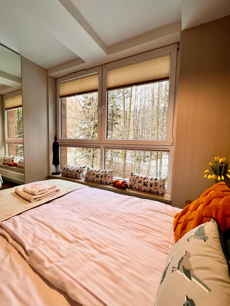 Apartament SPA 04 Resort Kozubnik blisko Szczyrk - 5D Apartamenty view 2