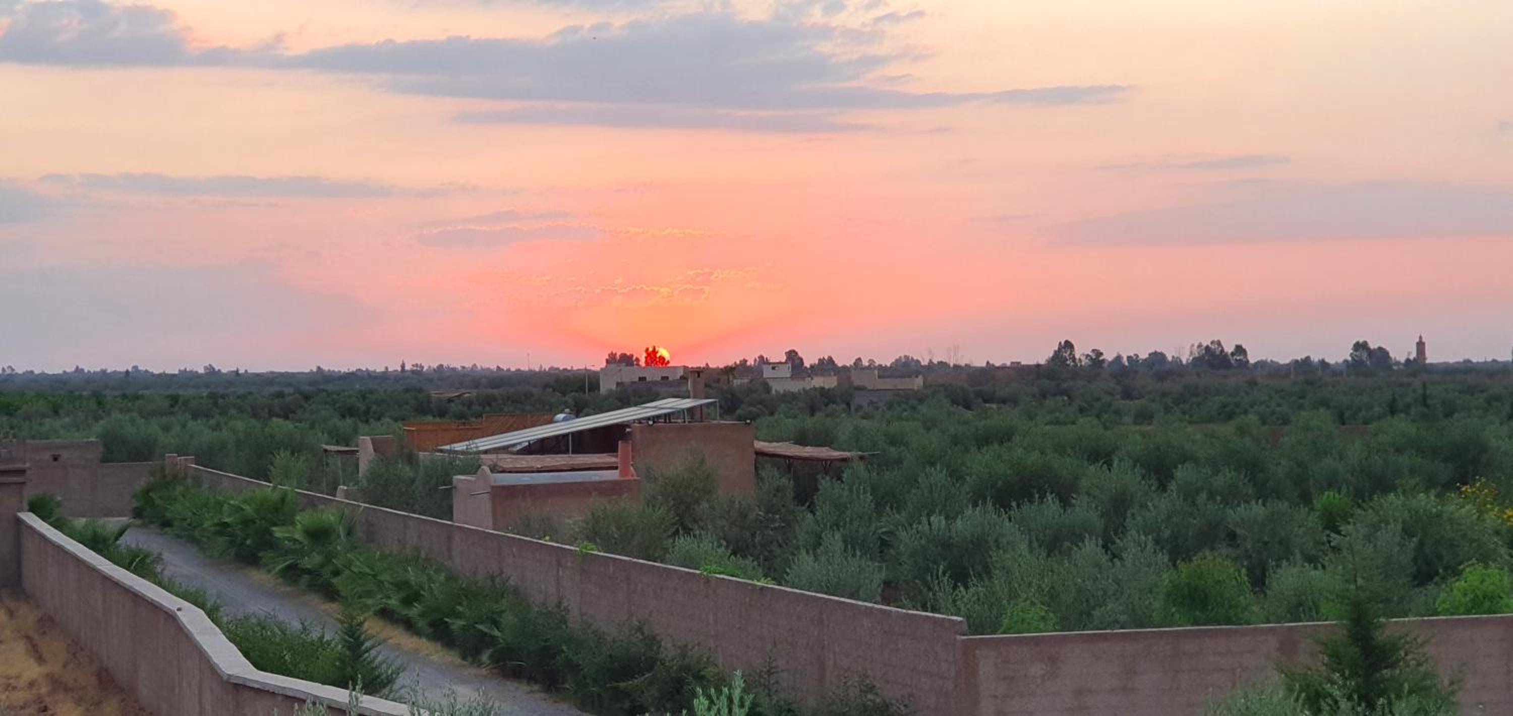 DAR MORAD villa entière avec piscine privée ds une ferme de 4Ha view 3