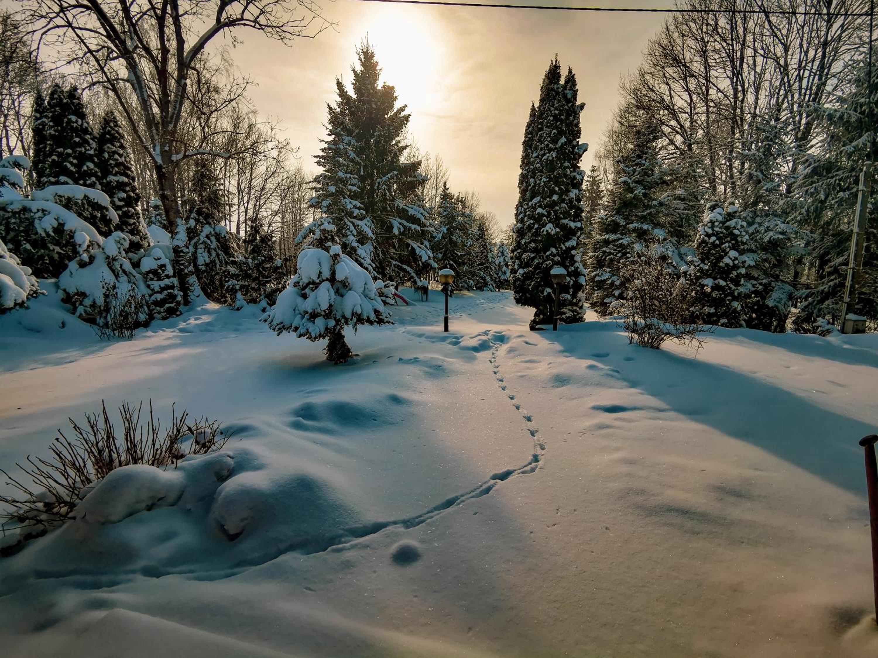 Photo 45