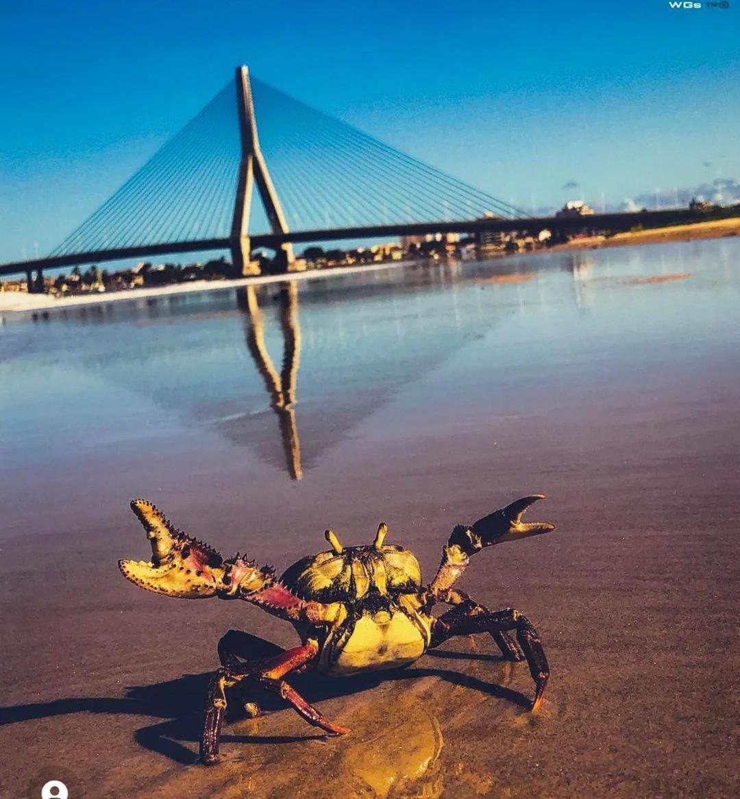aconchego pe na areia