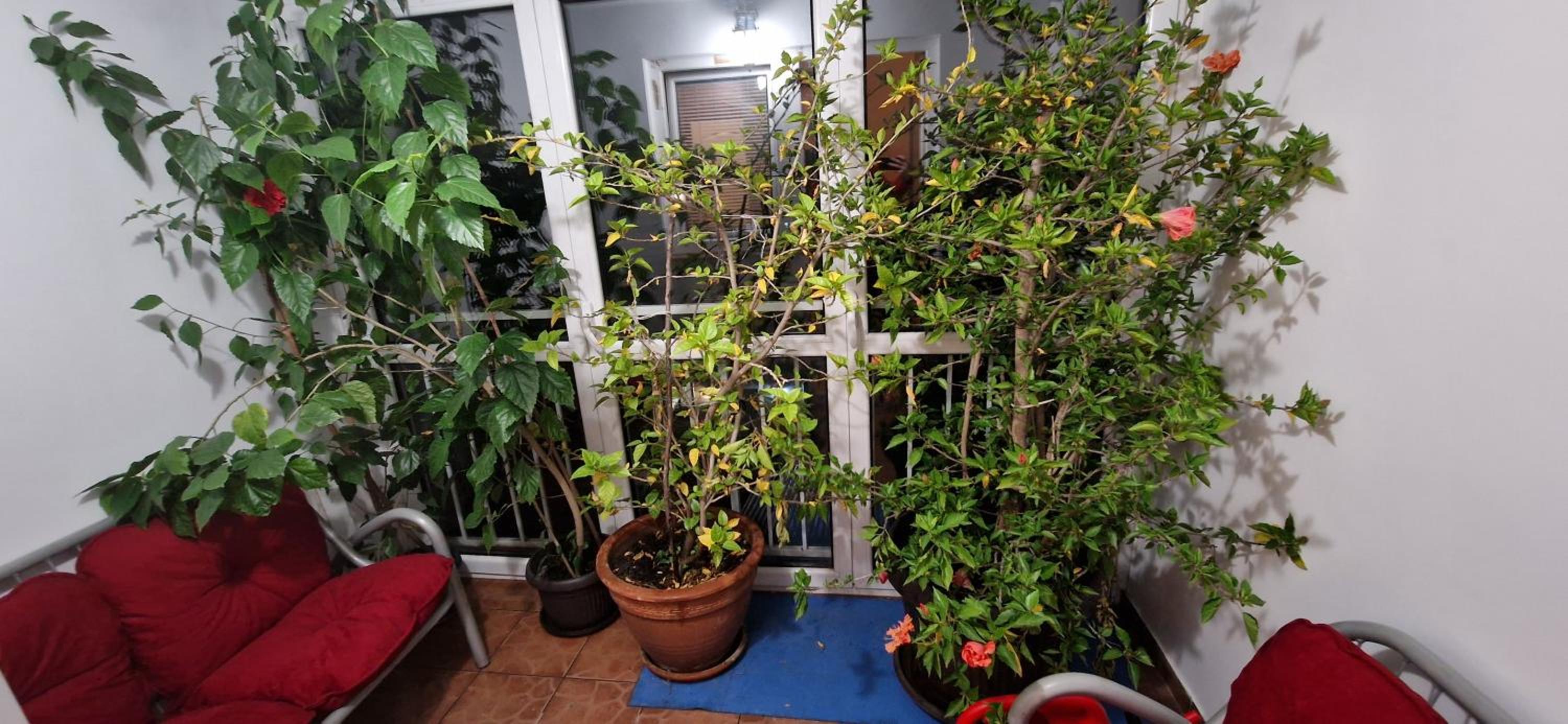 Photo 40