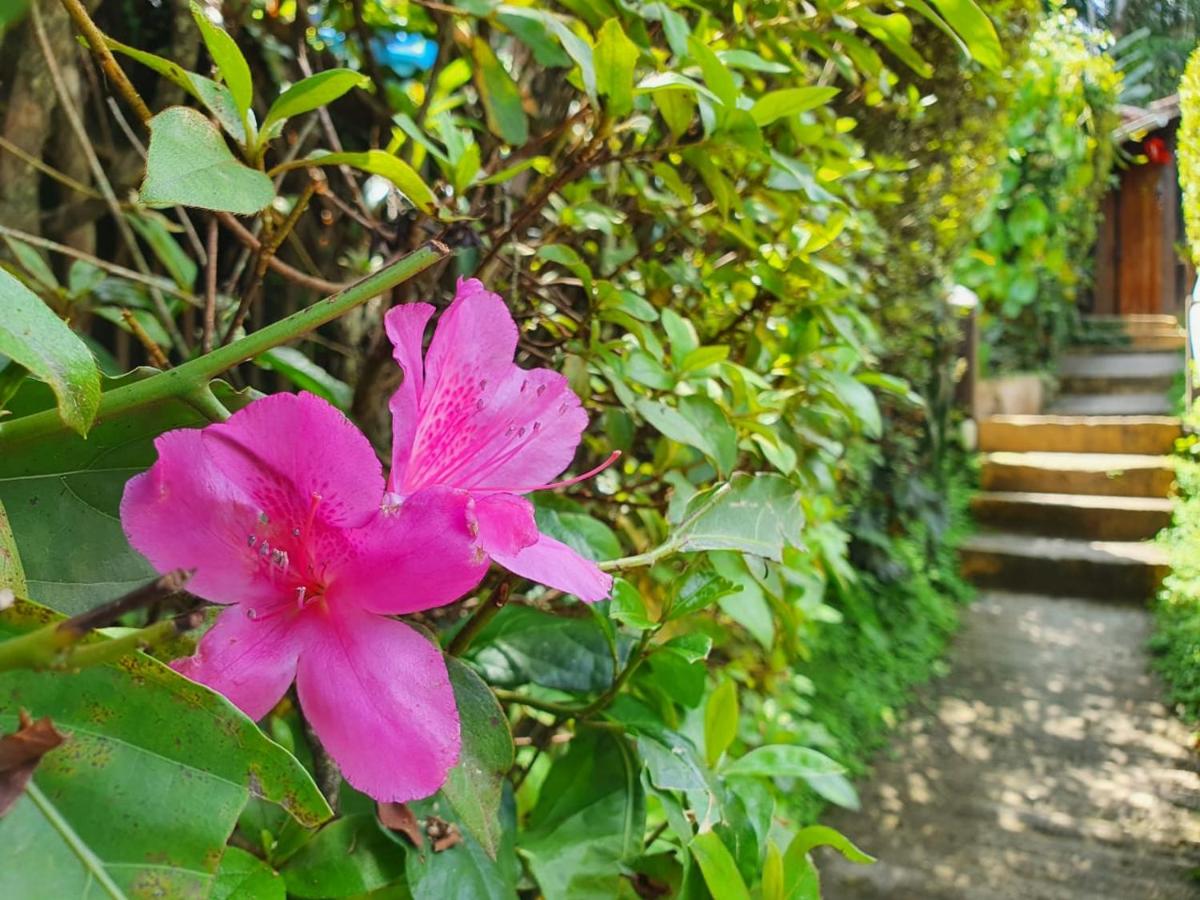 Pousada Donna Rose