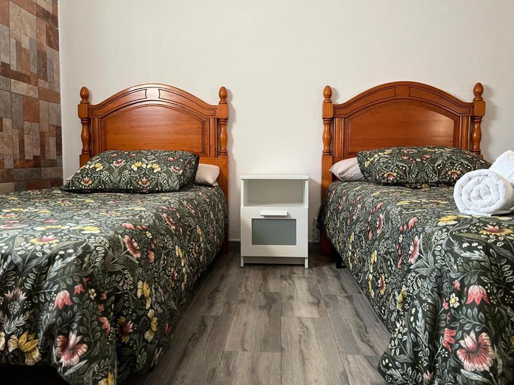 las camelias photo 4