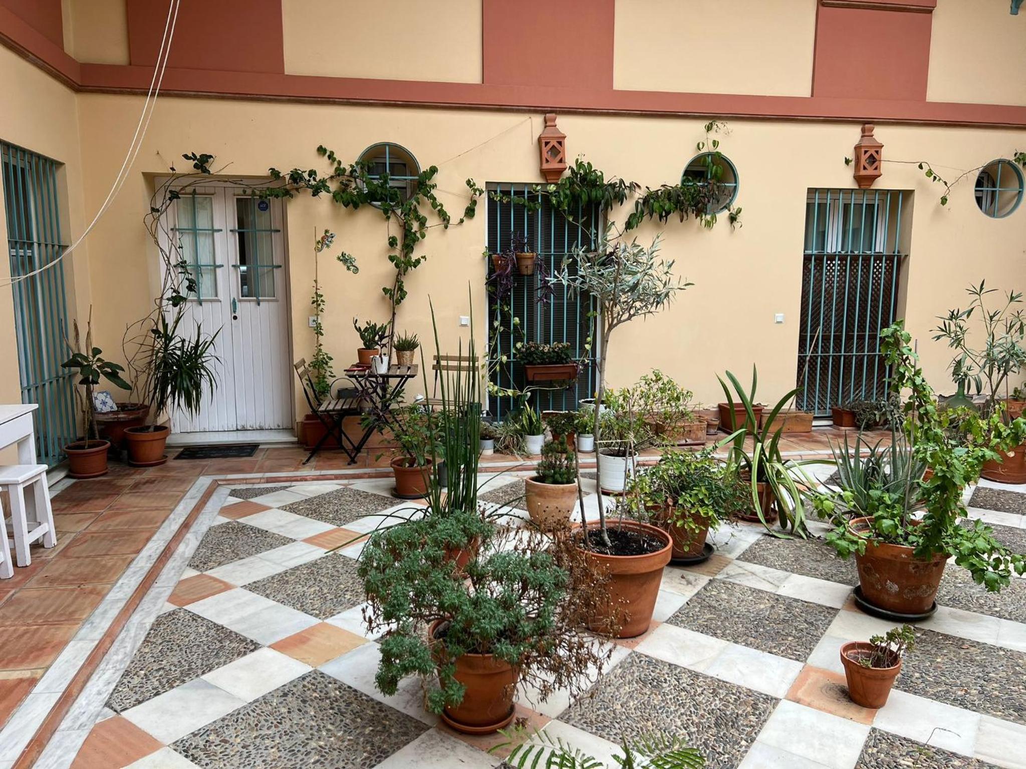 180 Home Precioso apartamento con patio San Bernardo 4 view 4