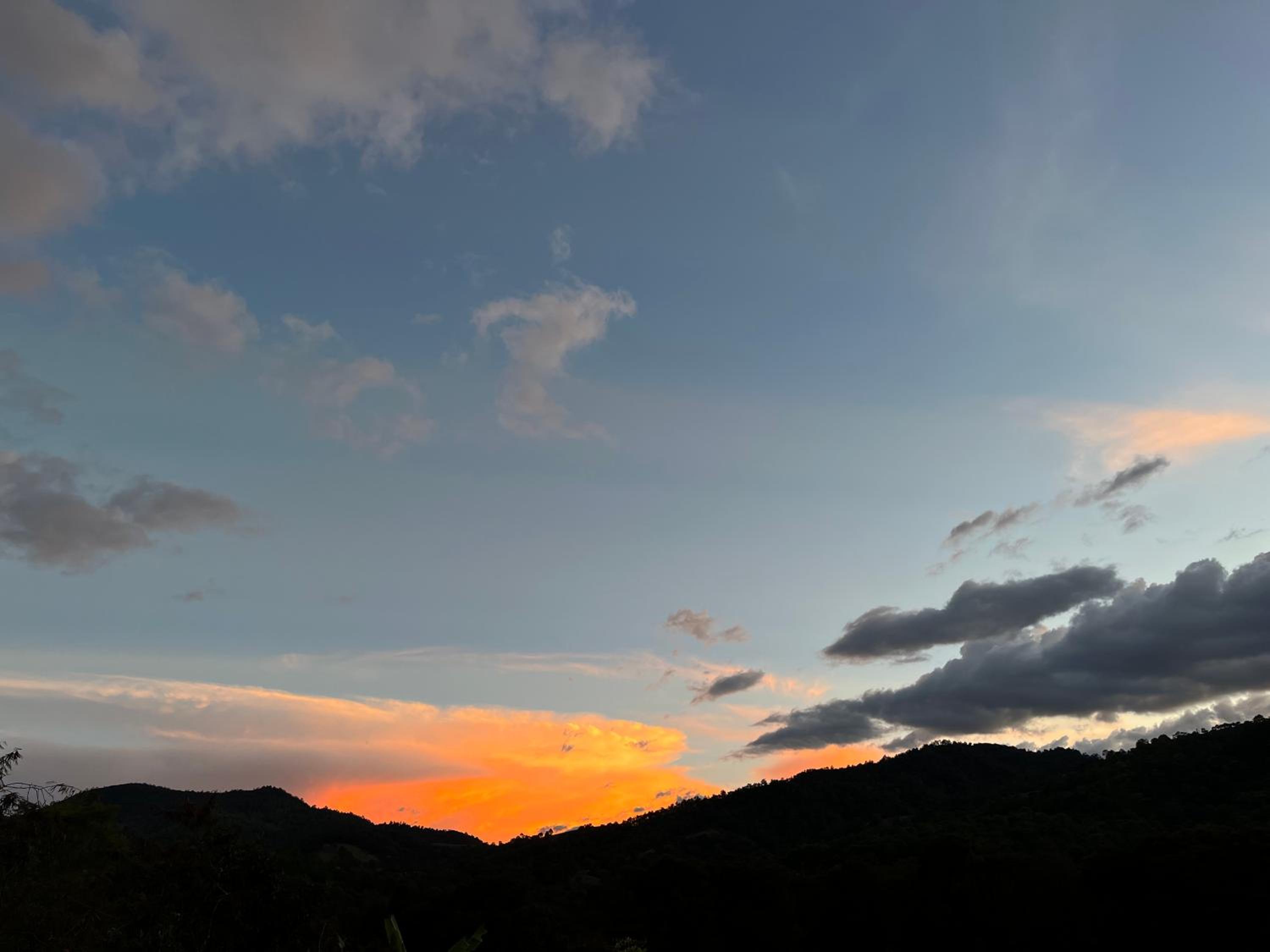 Photo 57
