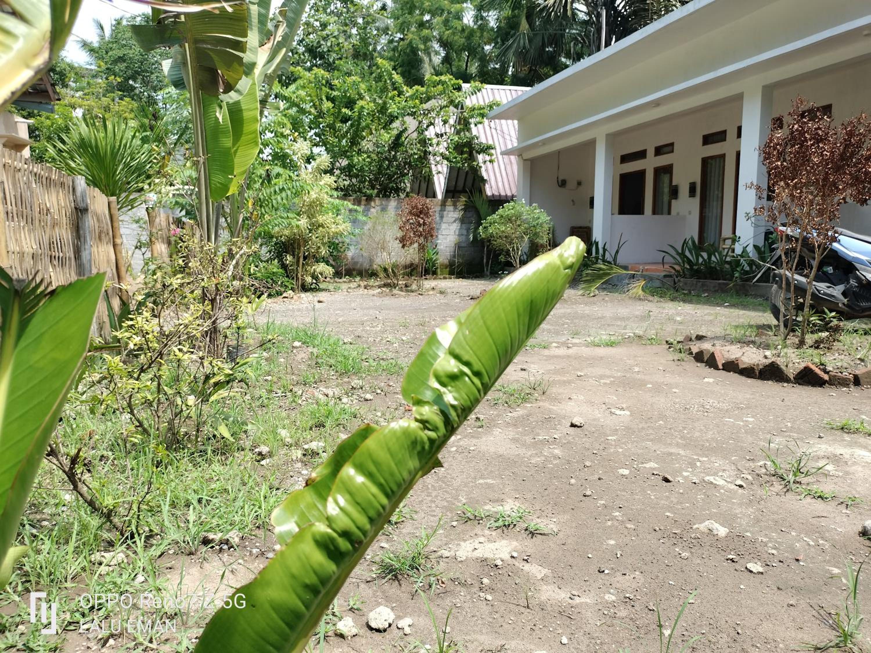 Ebucu