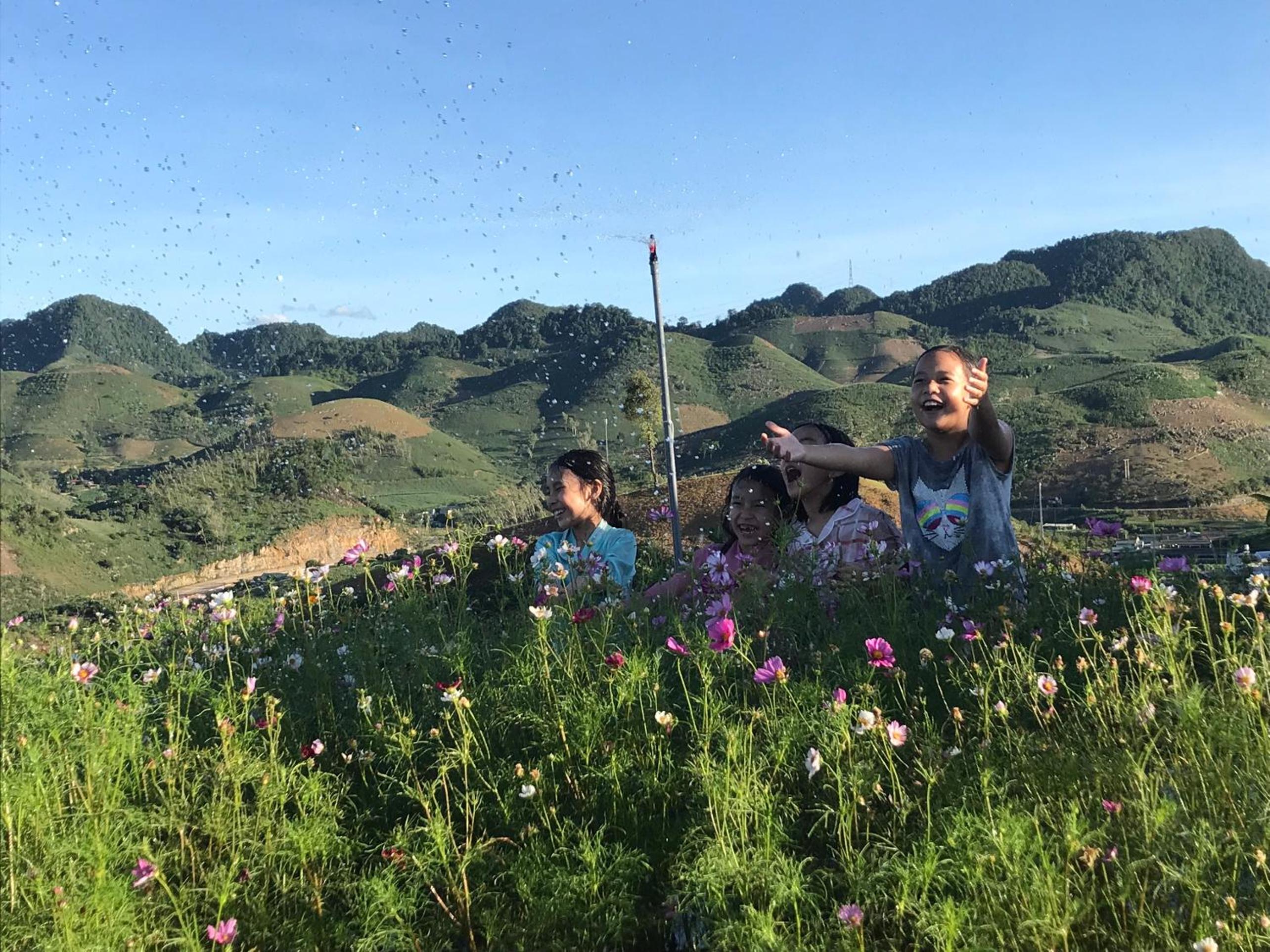 Vườn Trên Mây - Skyline Farm & Homestay view 5