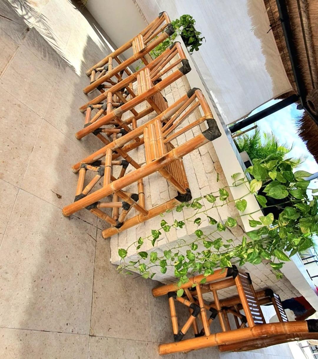 Casa Luz Downtown Apartments in Tulum