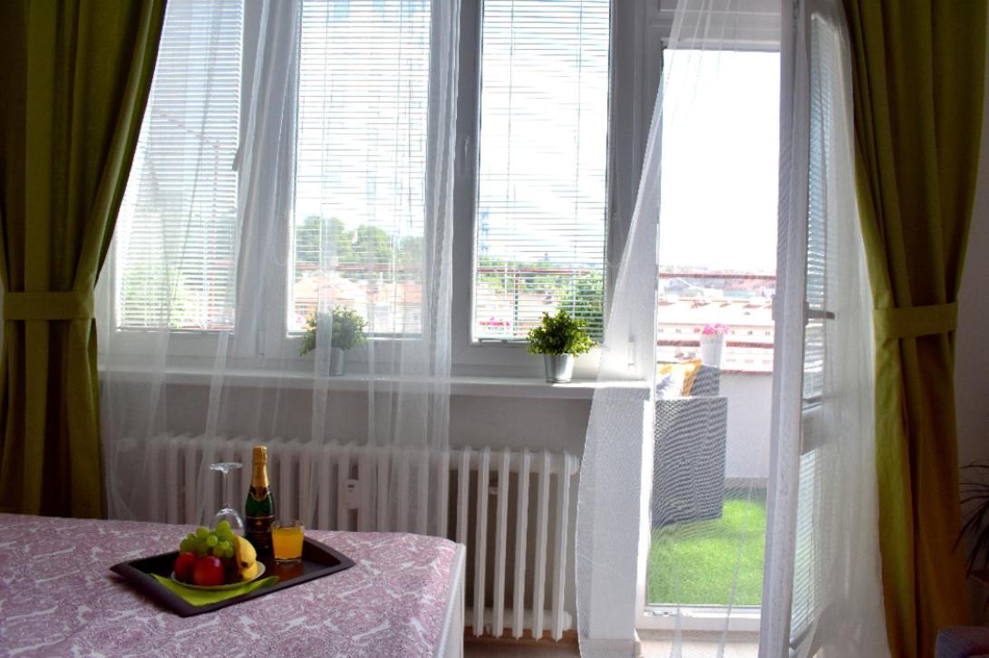 Prague city centre apartment Radka1