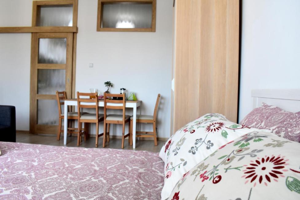 Prague city centre apartment Radka1