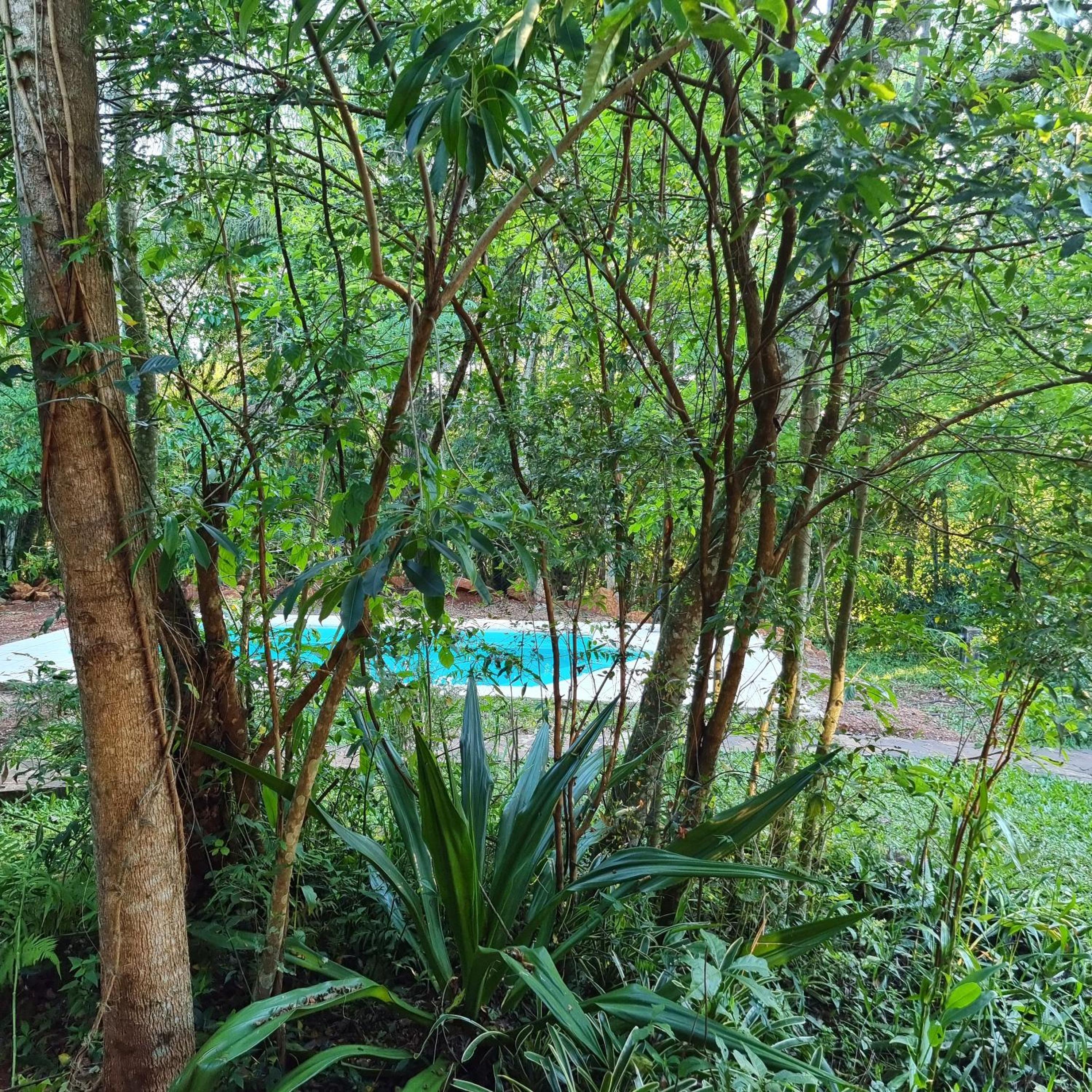 OMA CHILL HOUSE IGUAZU