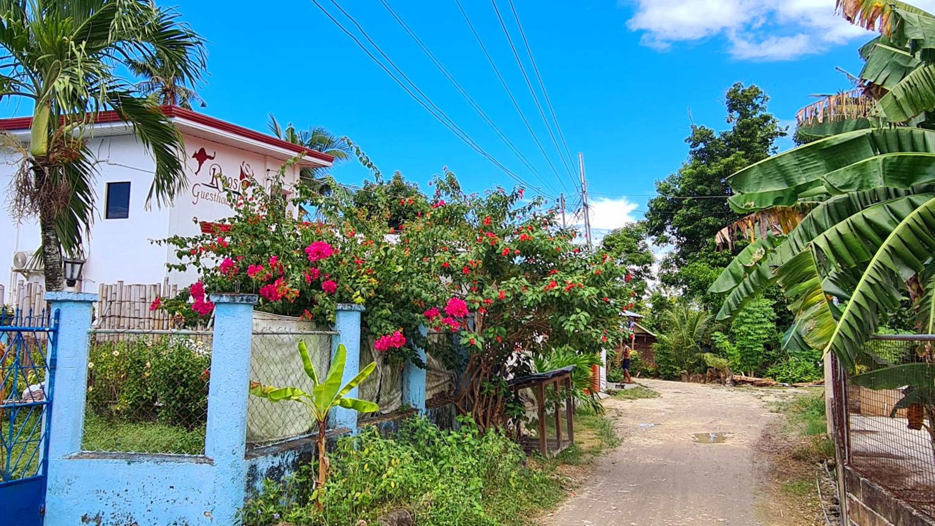 Roos Guesthouse