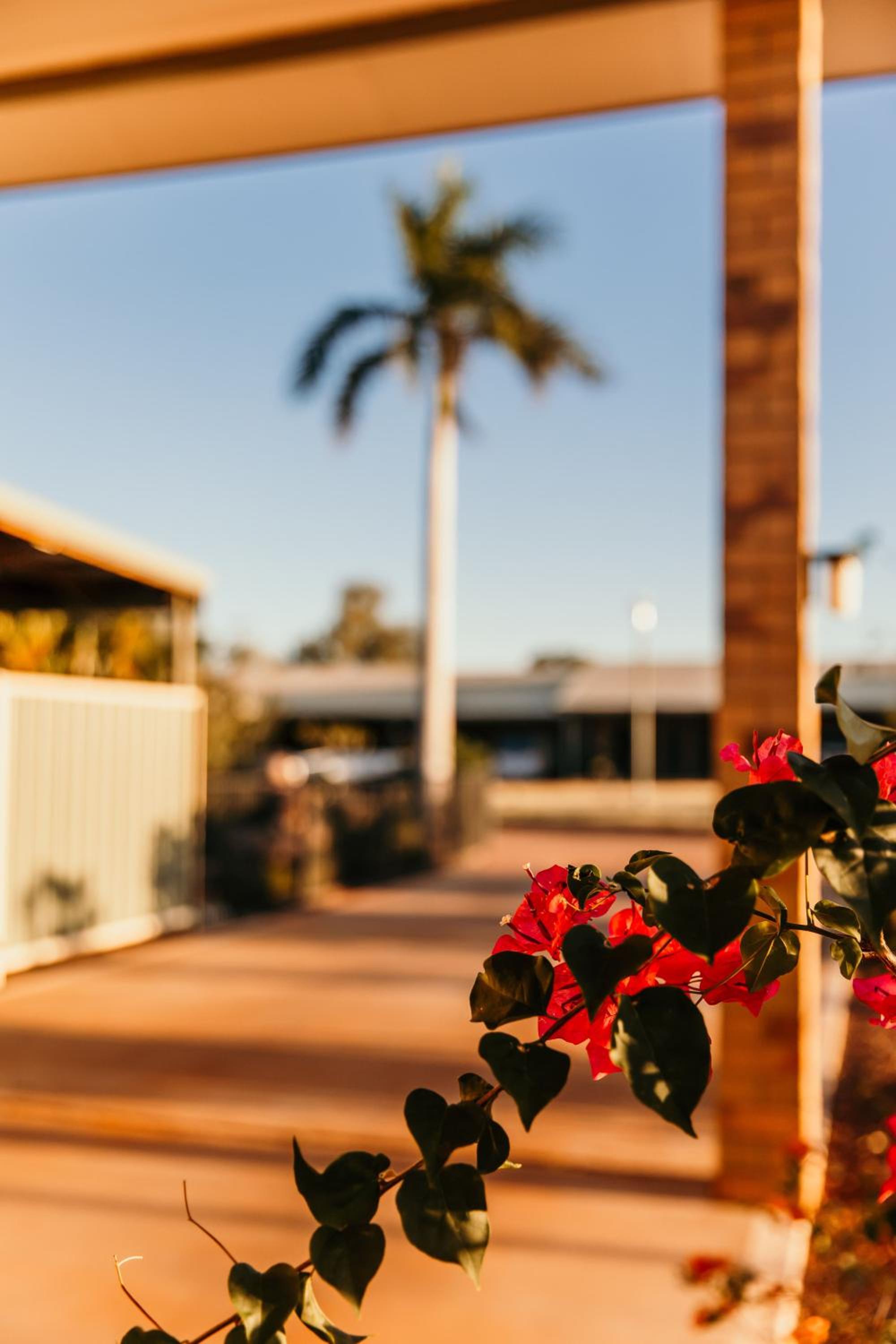 Abacus Motel