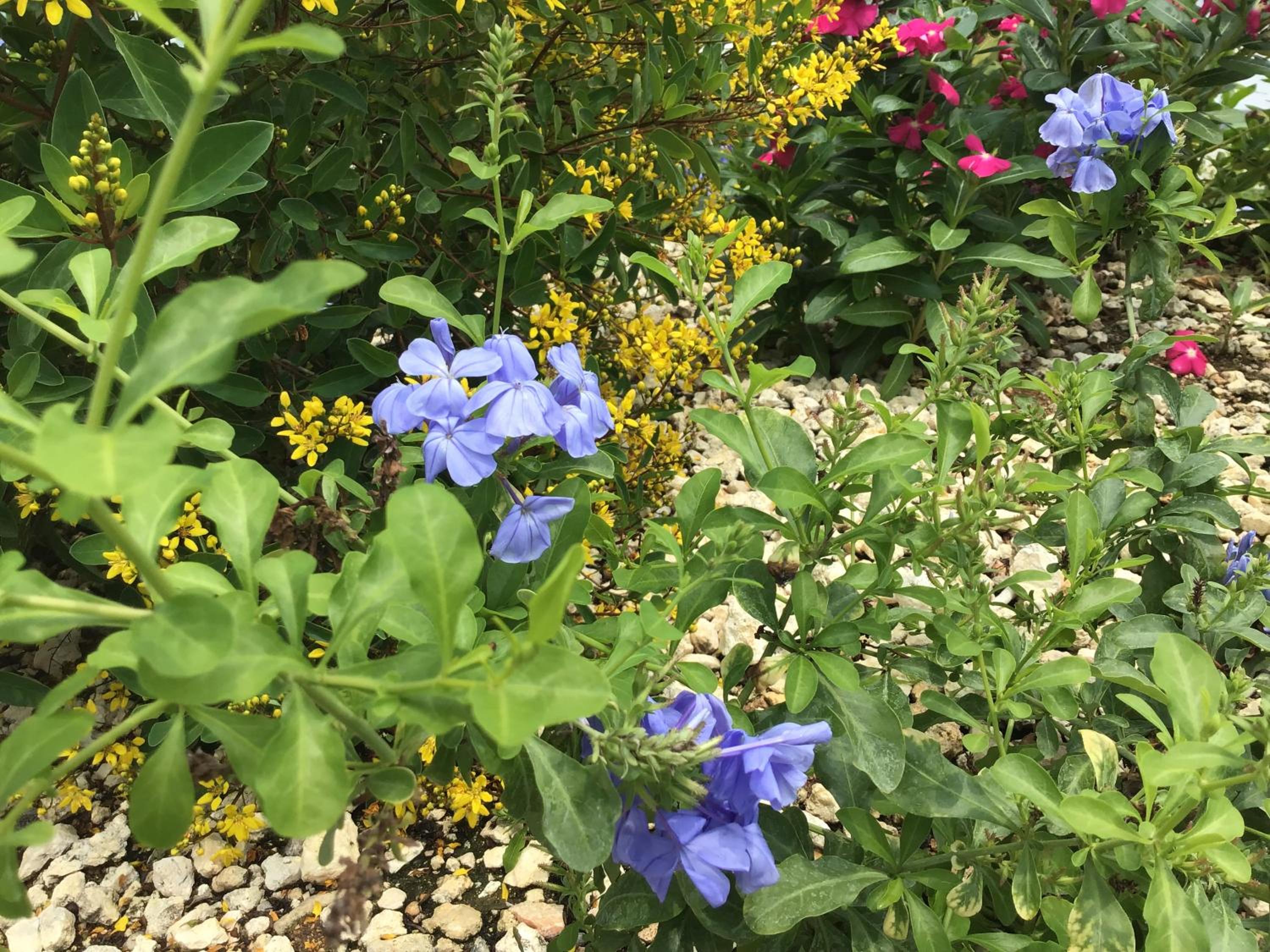 Photo 38