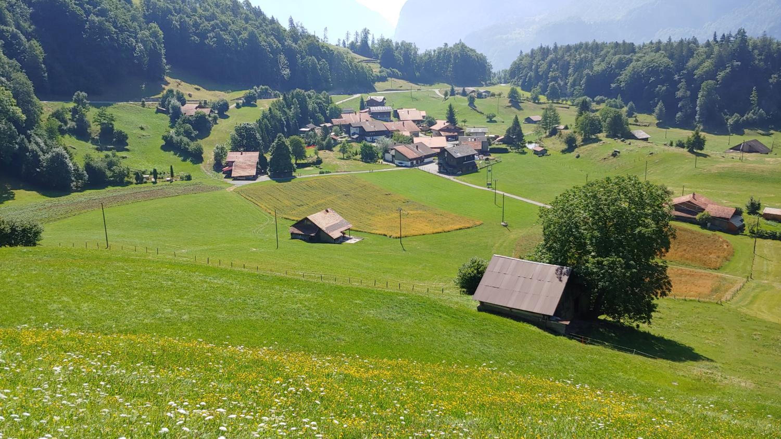 Chalet Brünig view 5