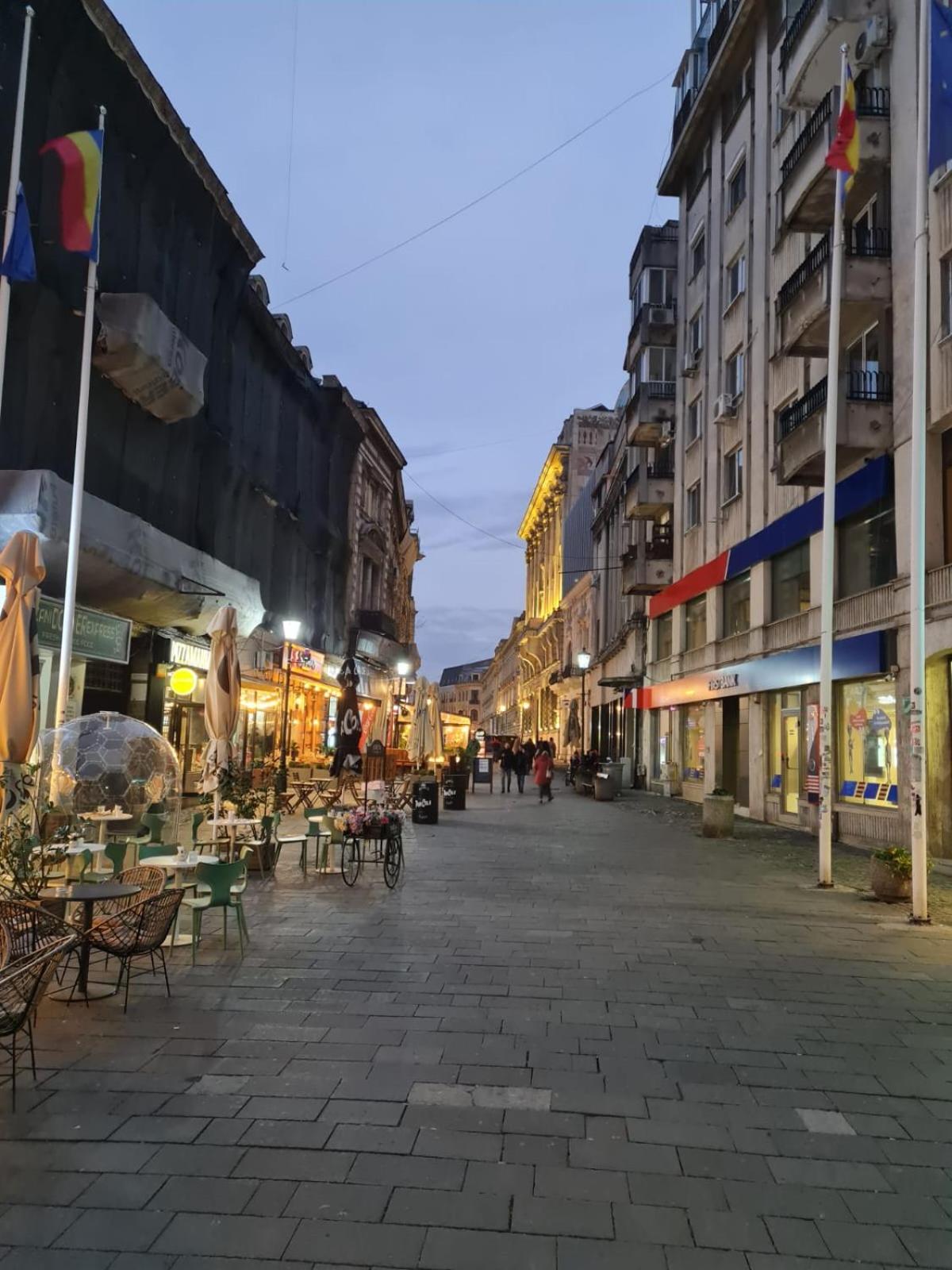 Color Ap Calea Victoriei 12C view 2